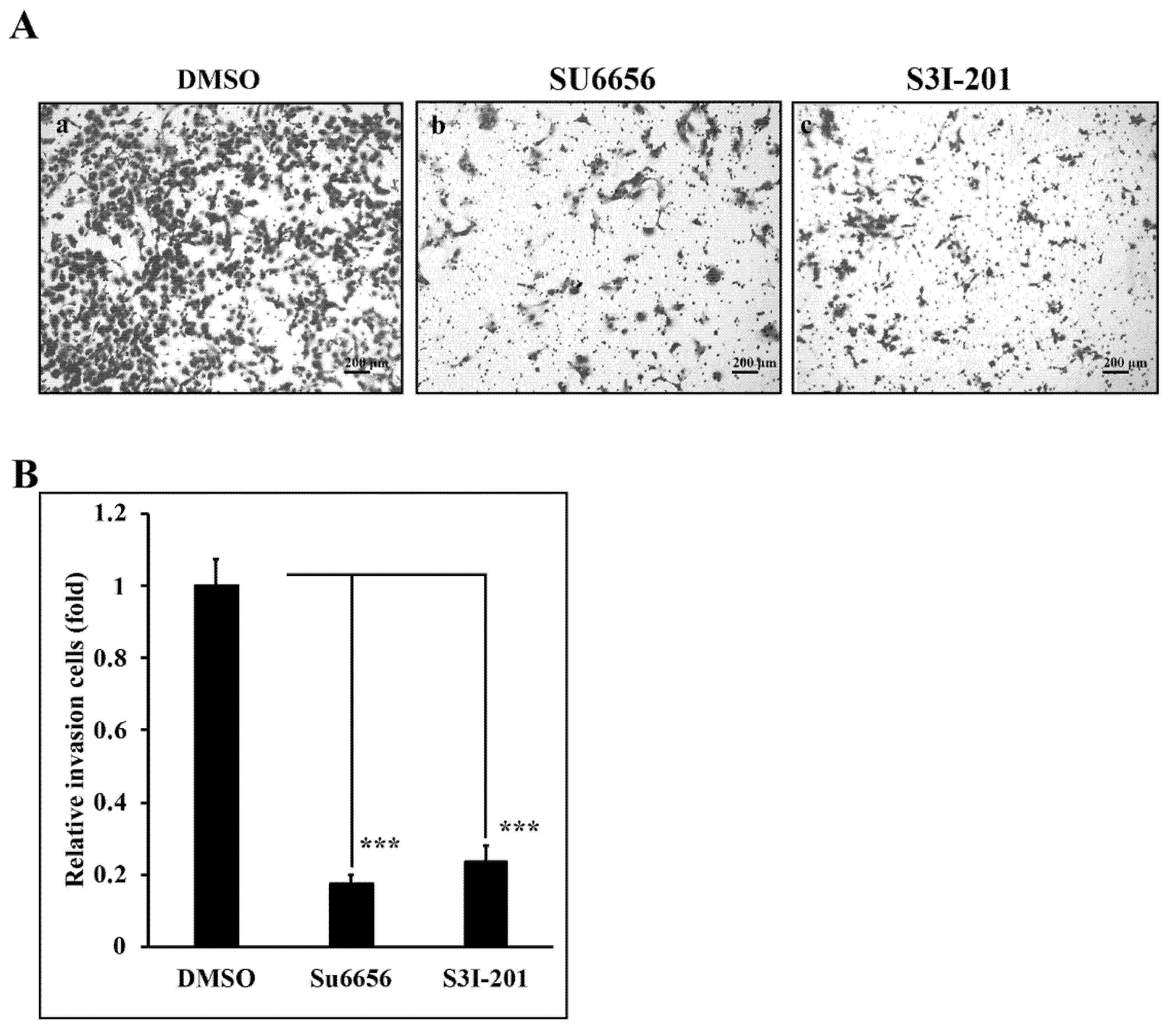 Antioxidants 08 00557 g005