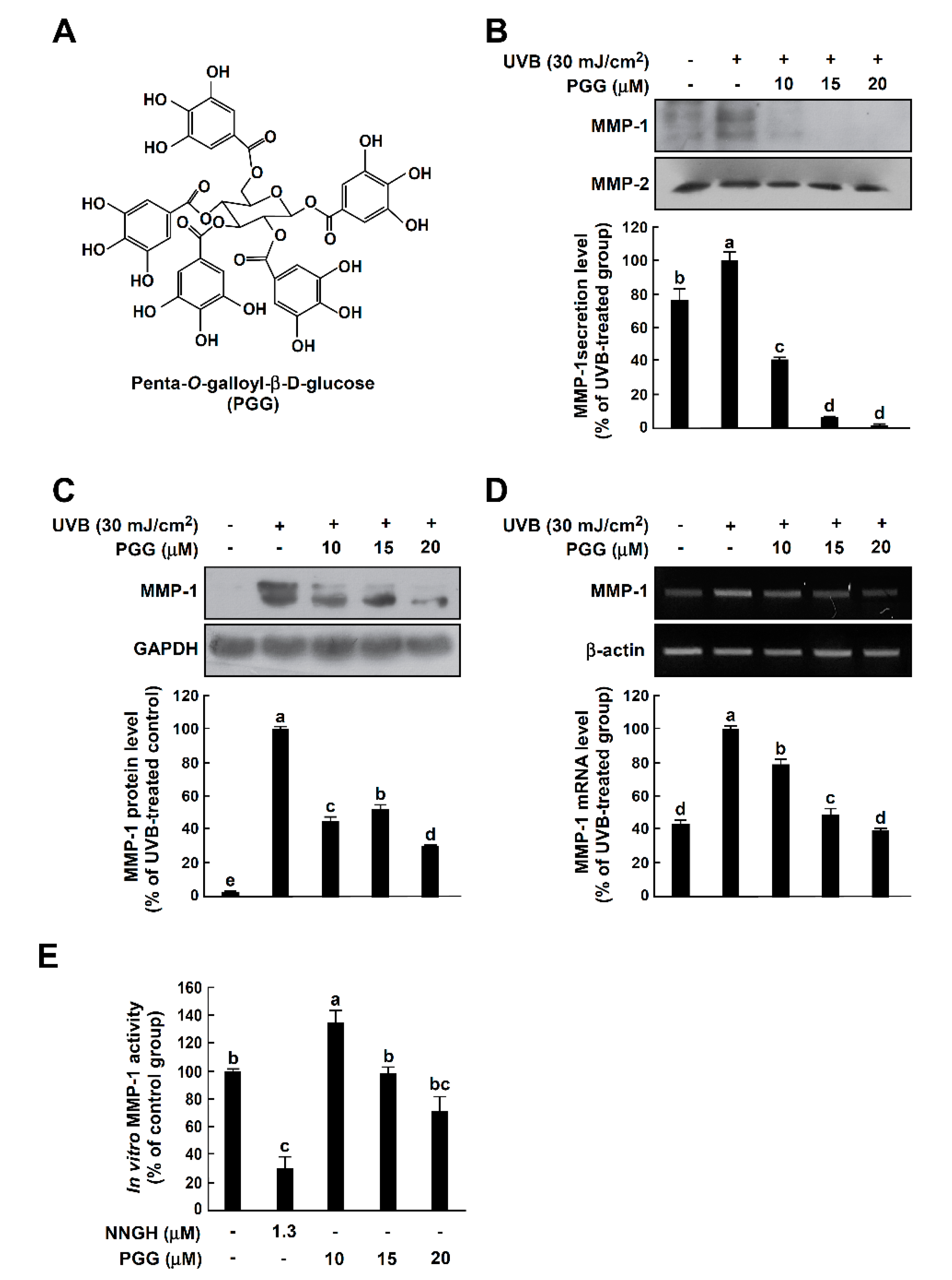 Antioxidants 08 00561 g001