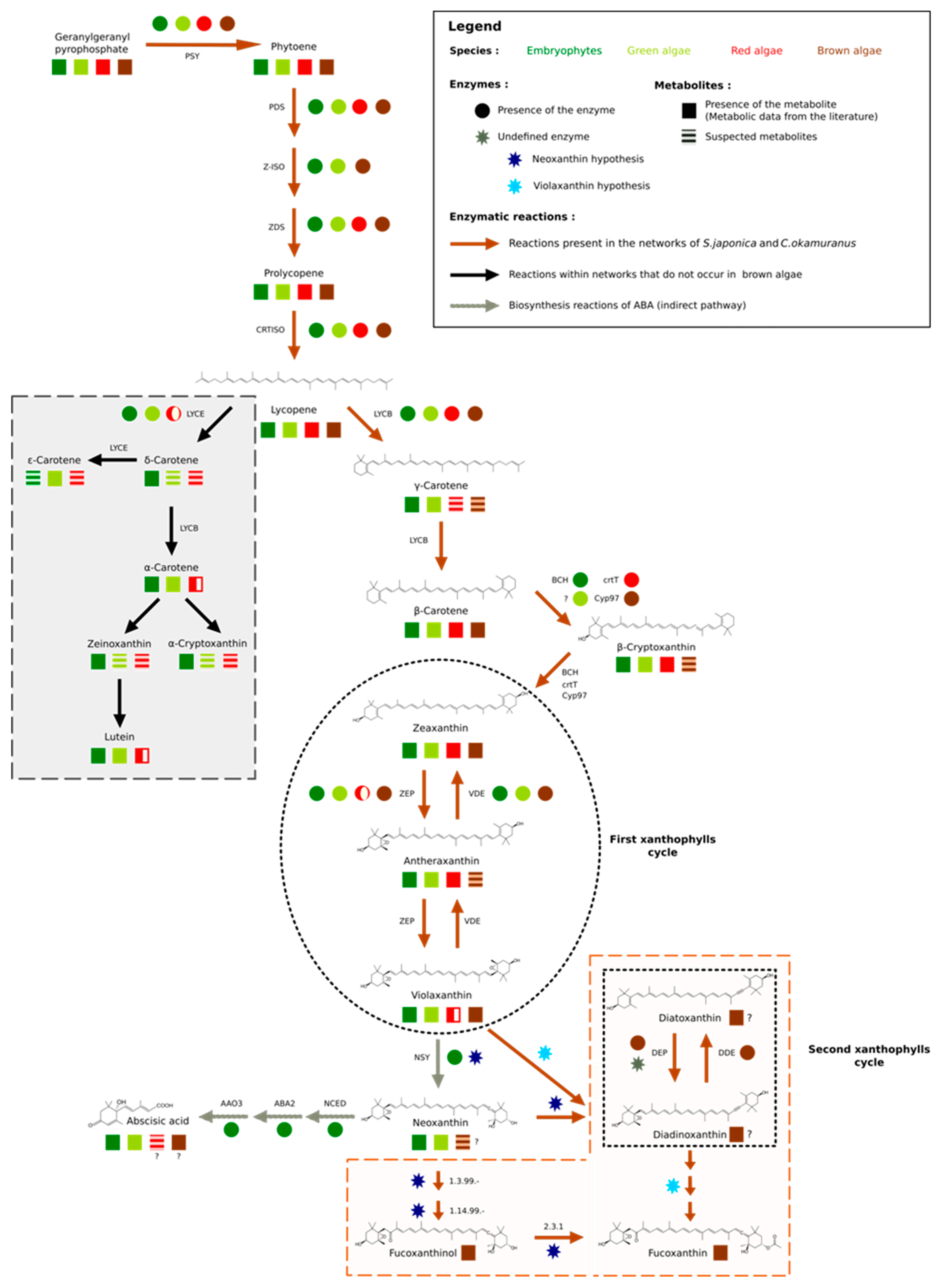 Antioxidants 08 00564 g003