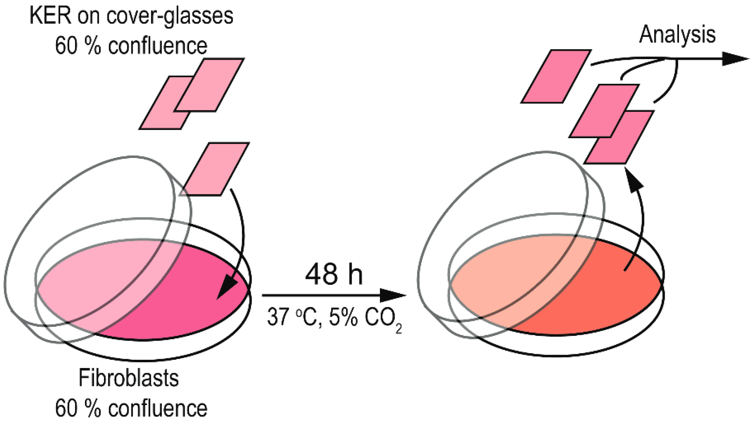 Antioxidants 08 00566 g001 550