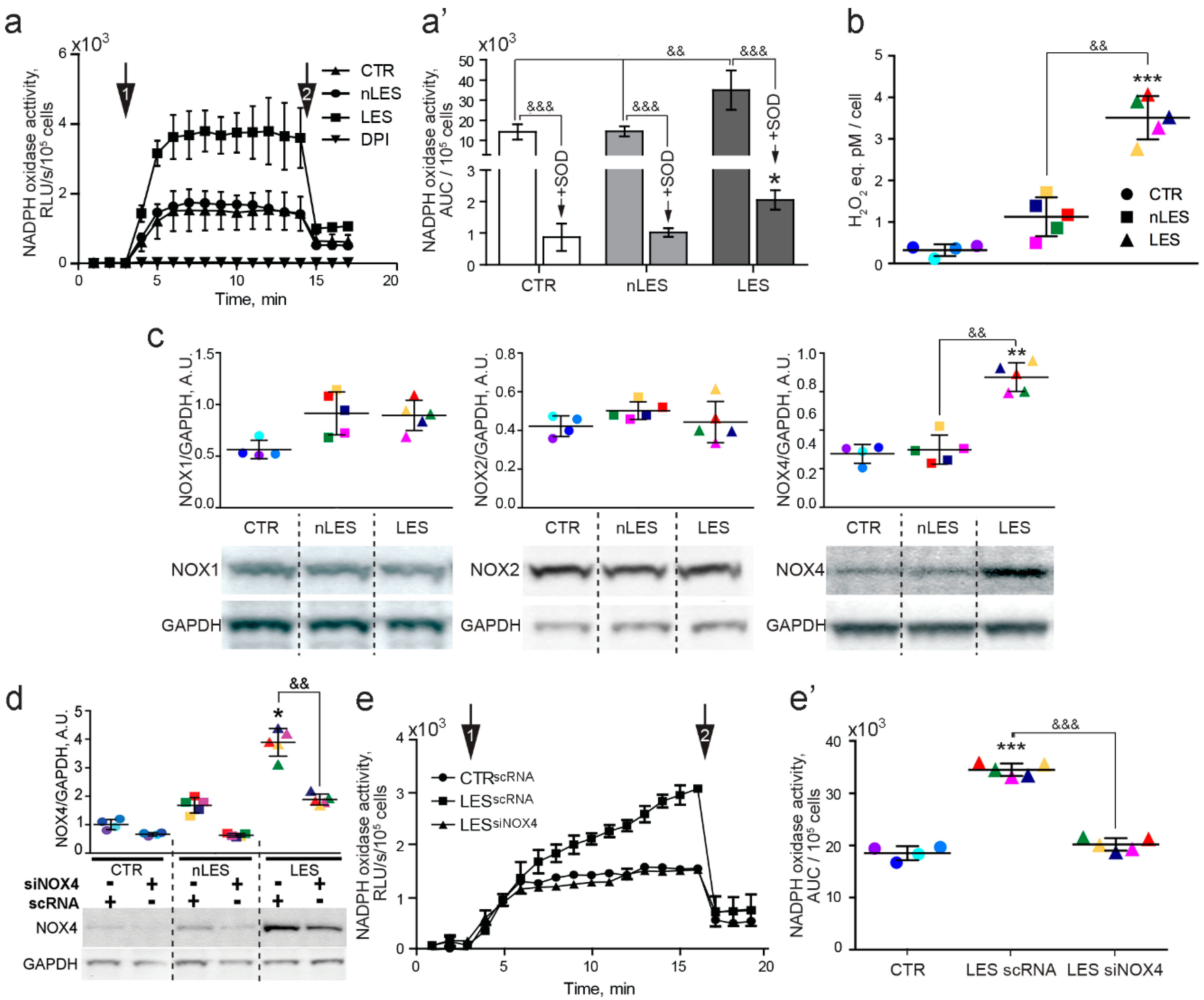 Antioxidants 08 00566 g004 550