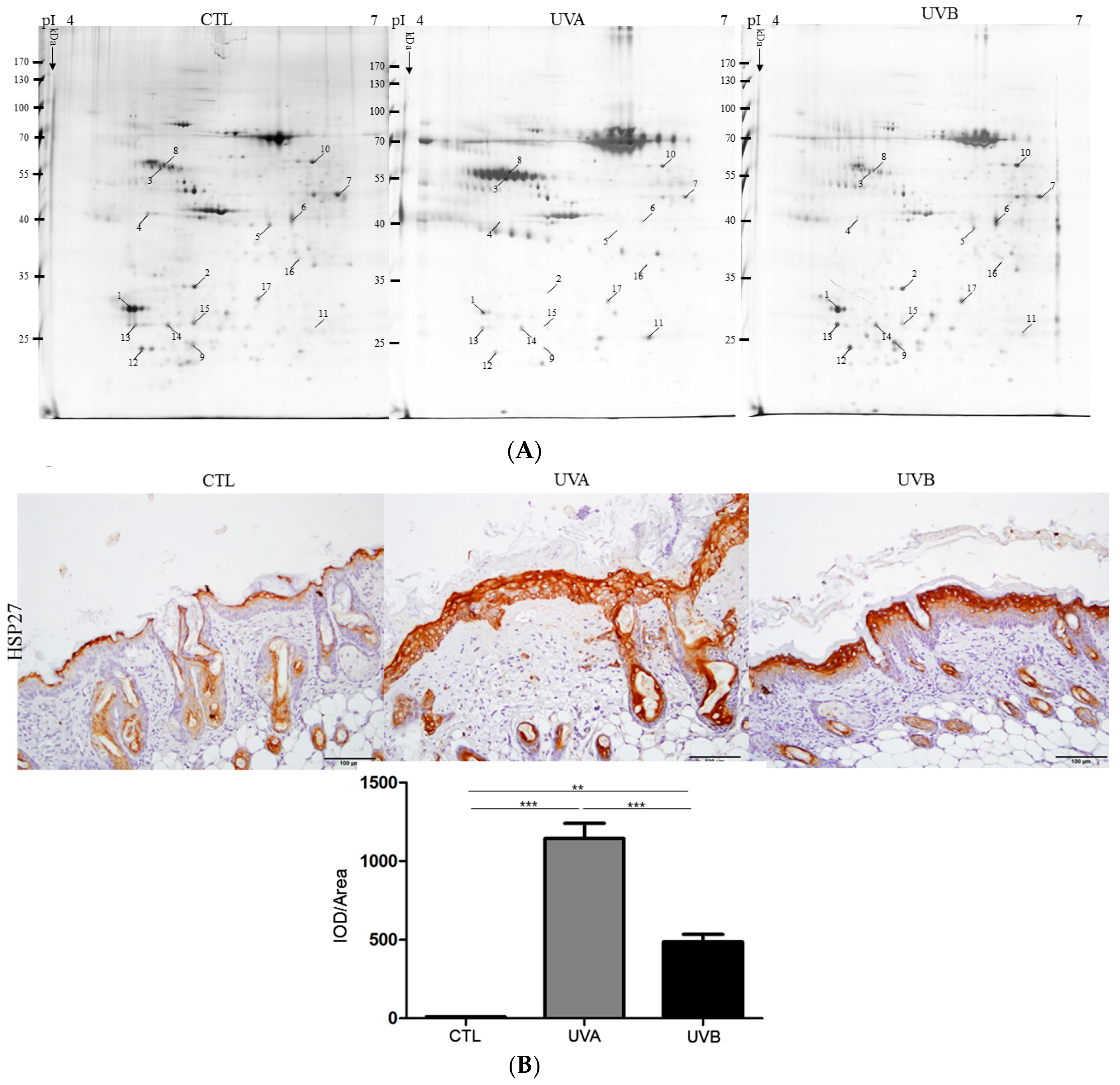 Antioxidants 08 00569 g005a Antioxidants 08 00569 g005a