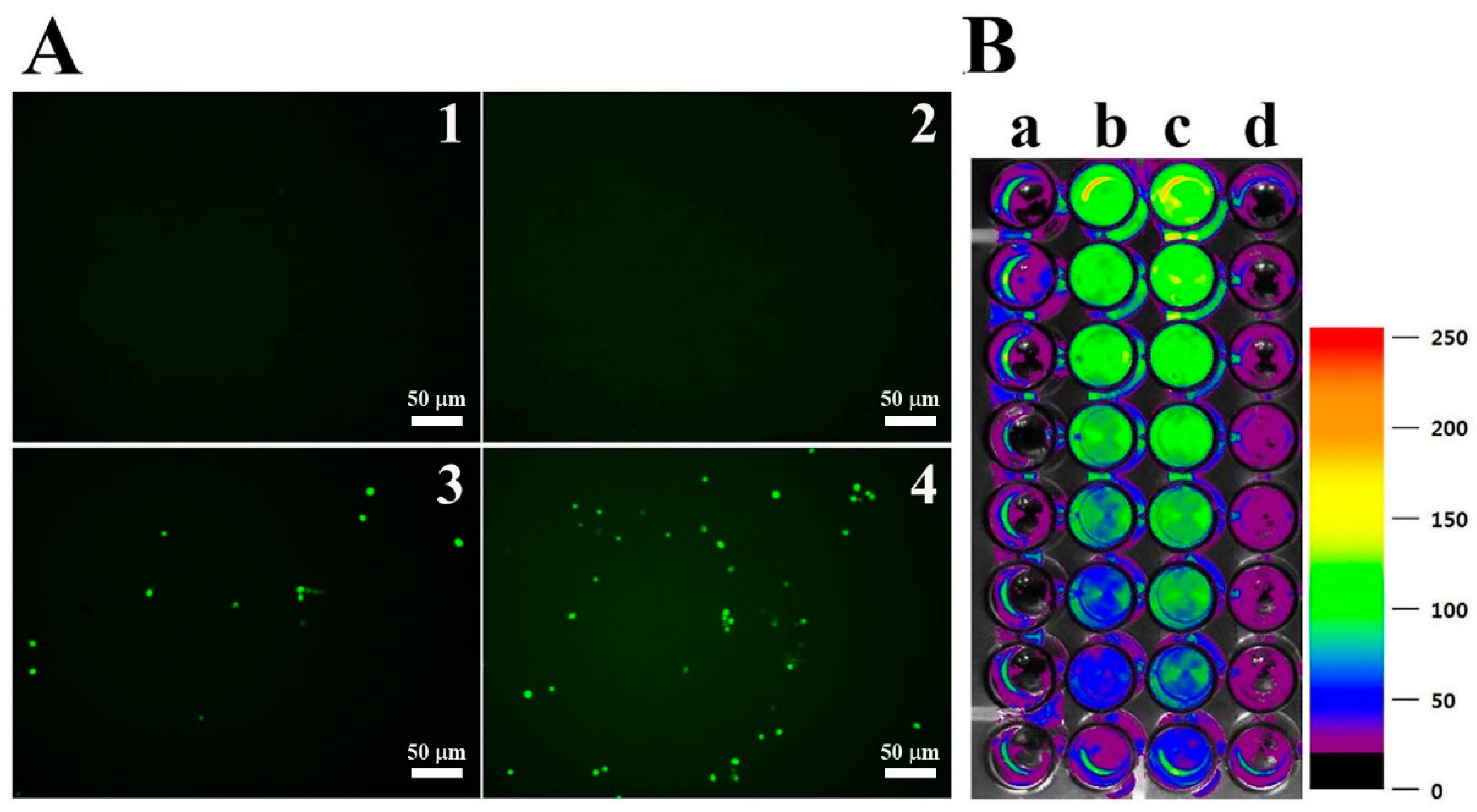 Antioxidants 08 00598 g004 Antioxidants 08 00598 g004