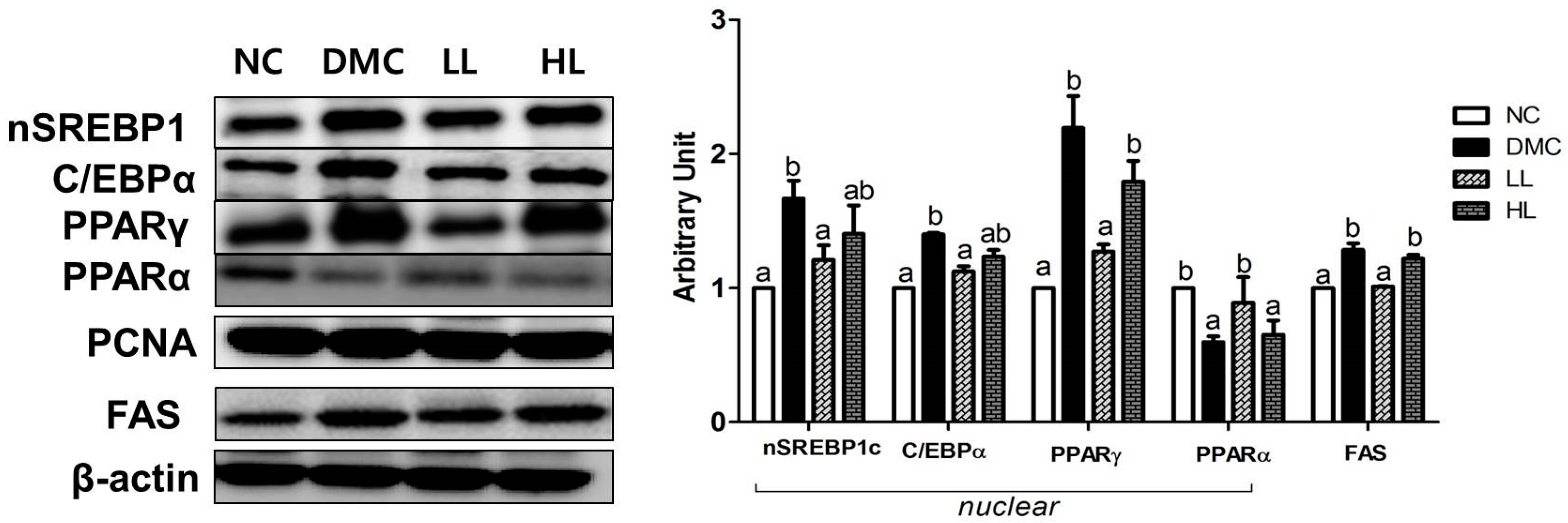 Antioxidants 08 00599 g004 Antioxidants 08 00599 g004