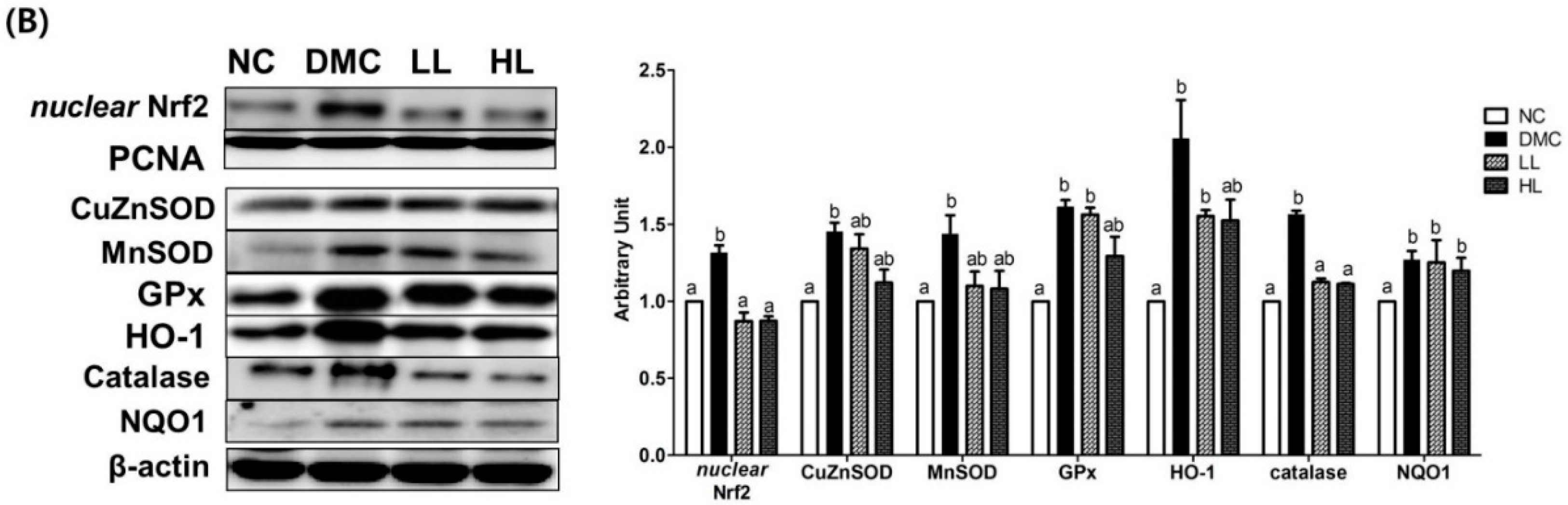 Antioxidants 08 00599 g006b Antioxidants 08 00599 g006b