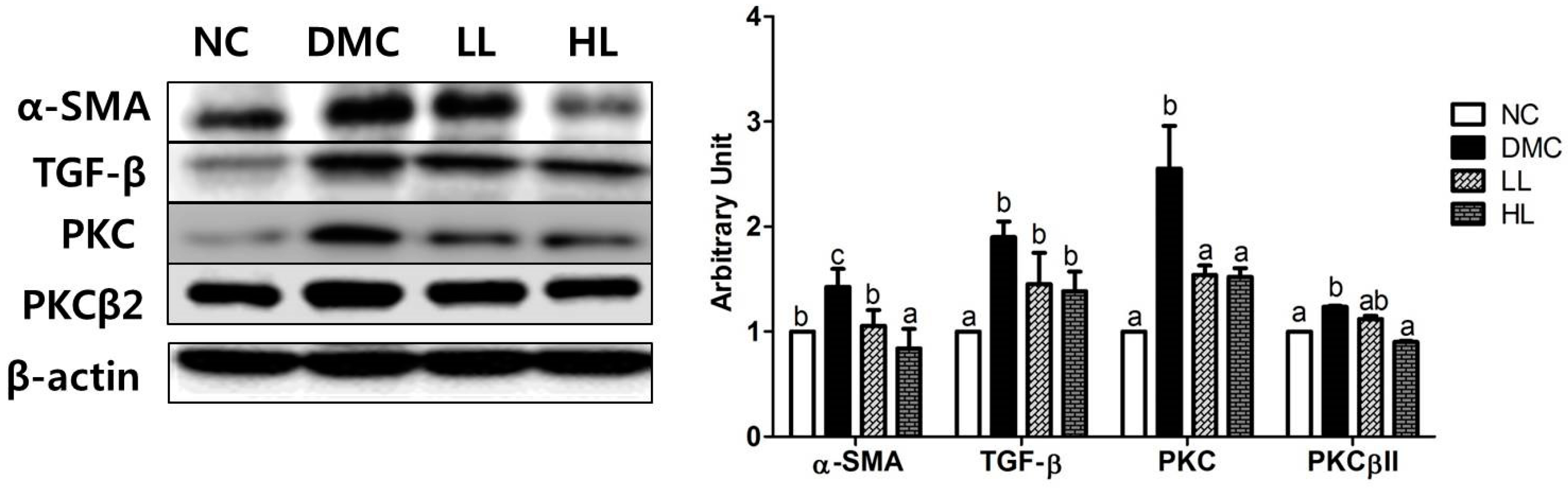 Antioxidants 08 00599 g008 Antioxidants 08 00599 g008