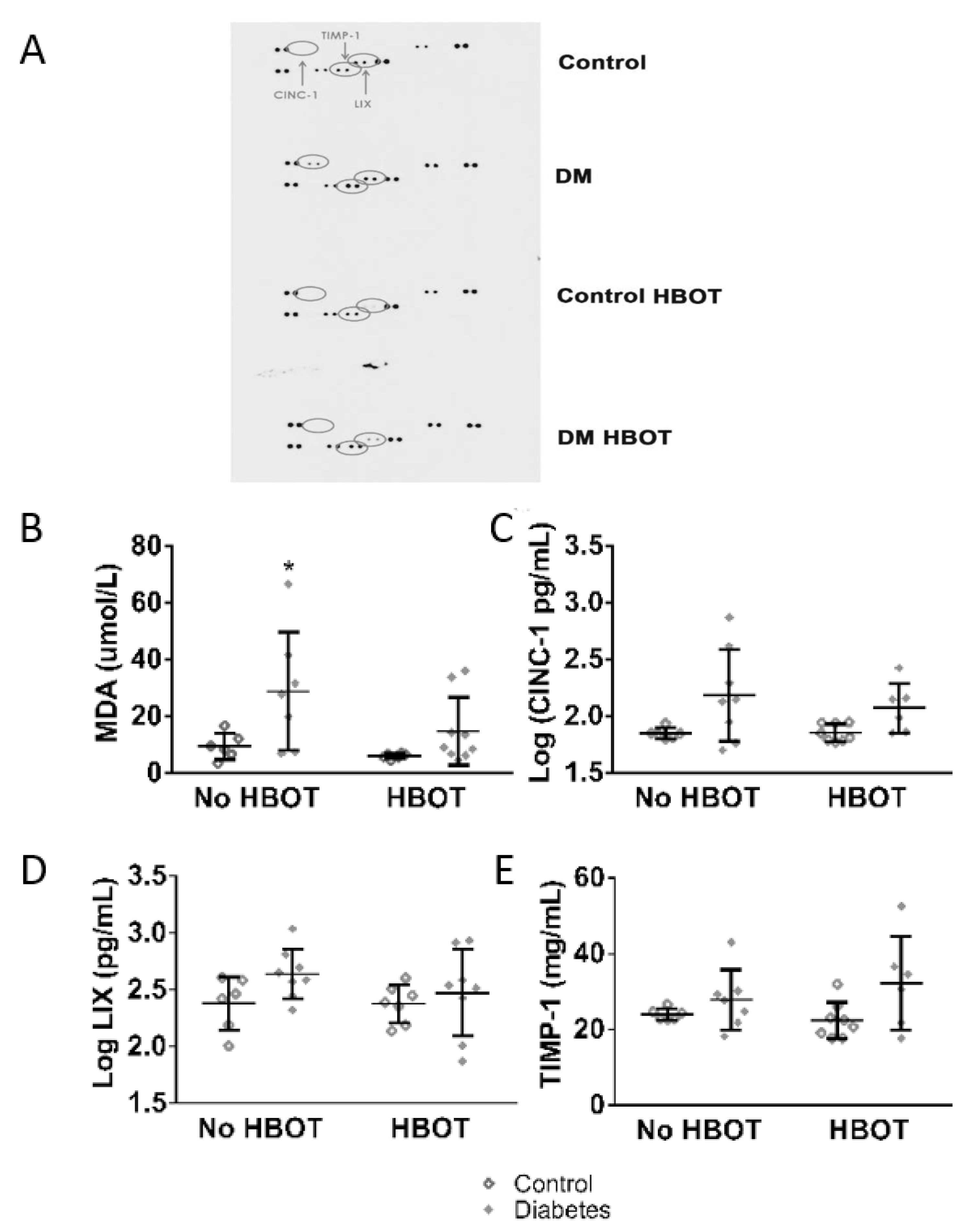 Antioxidants 08 00607 g005 Antioxidants 08 00607 g005