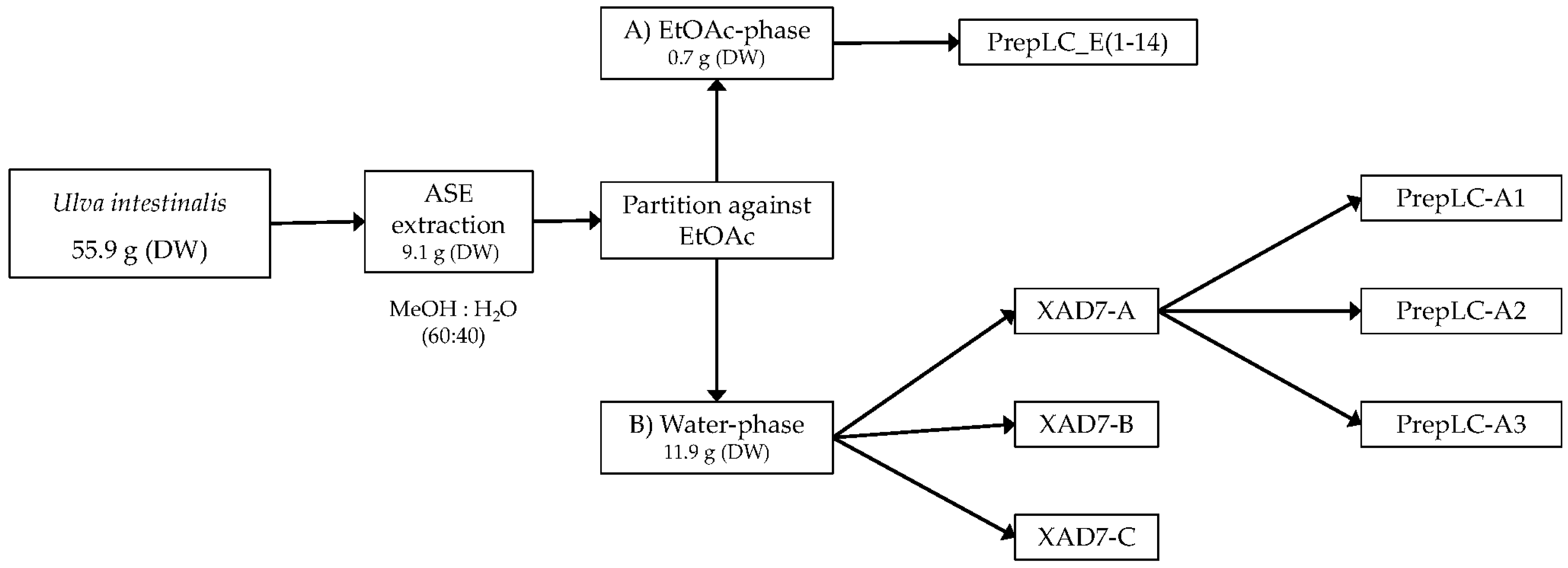 Antioxidants 08 00612 g001