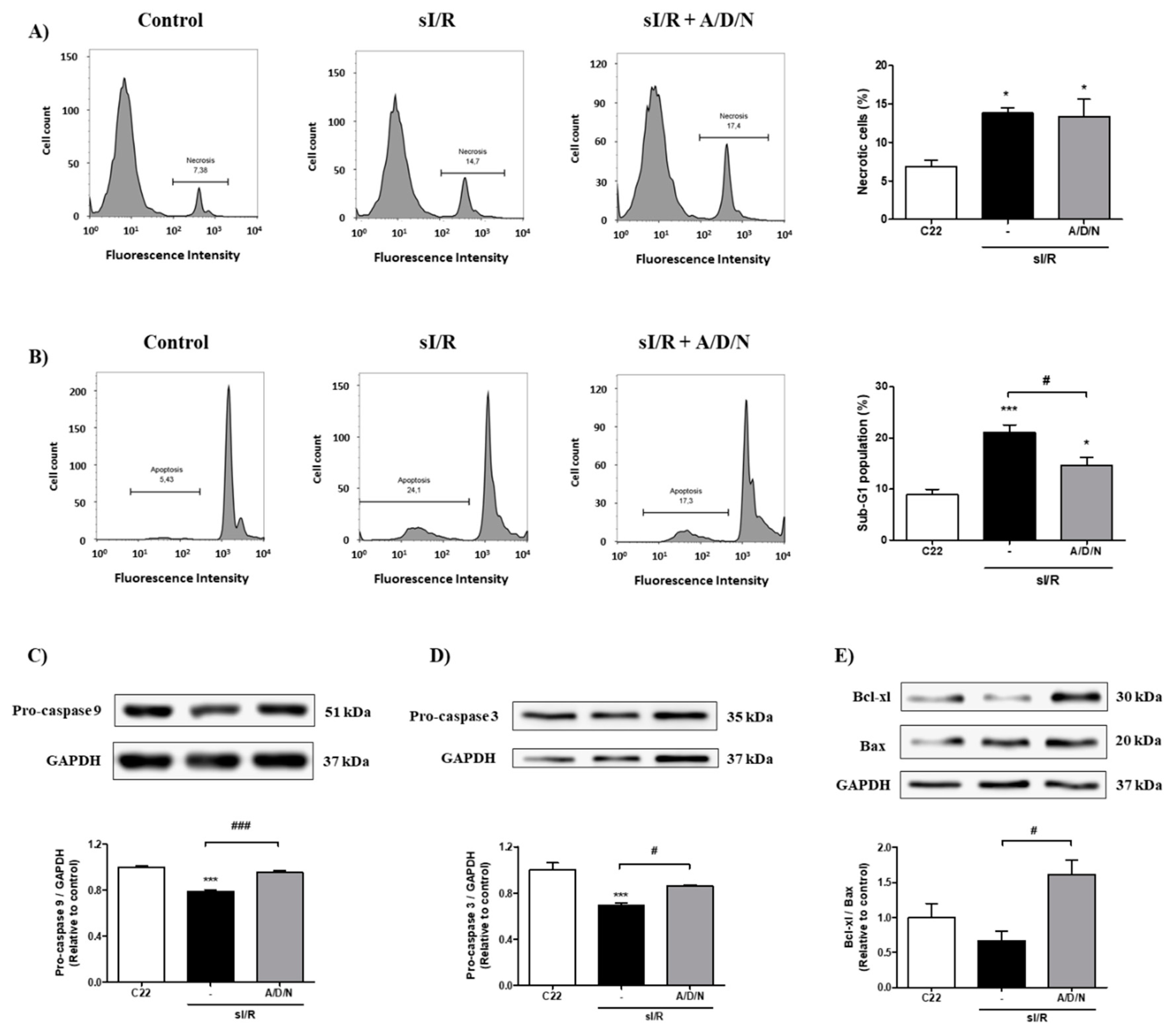 Antioxidants 08 00614 g003