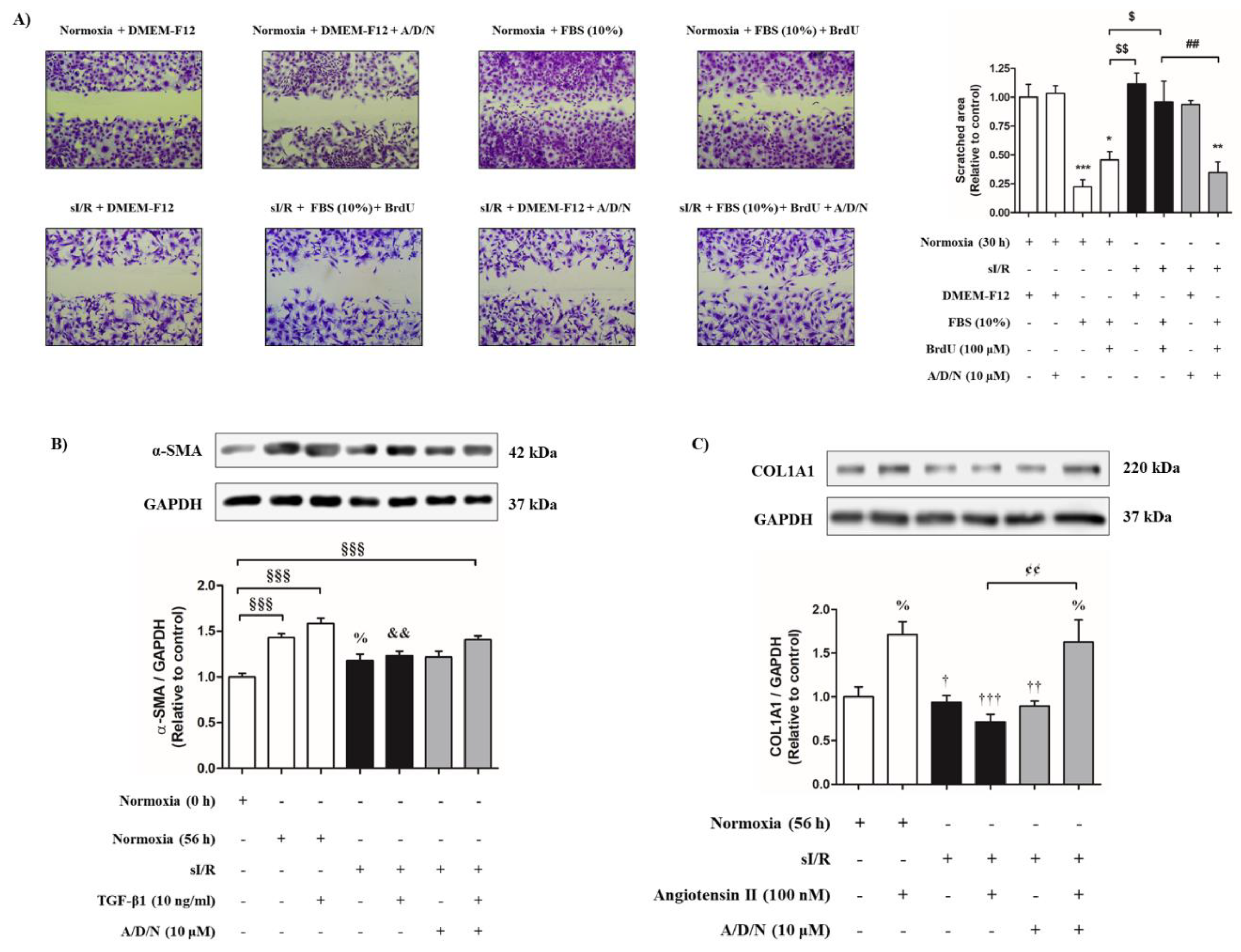 Antioxidants 08 00614 g005