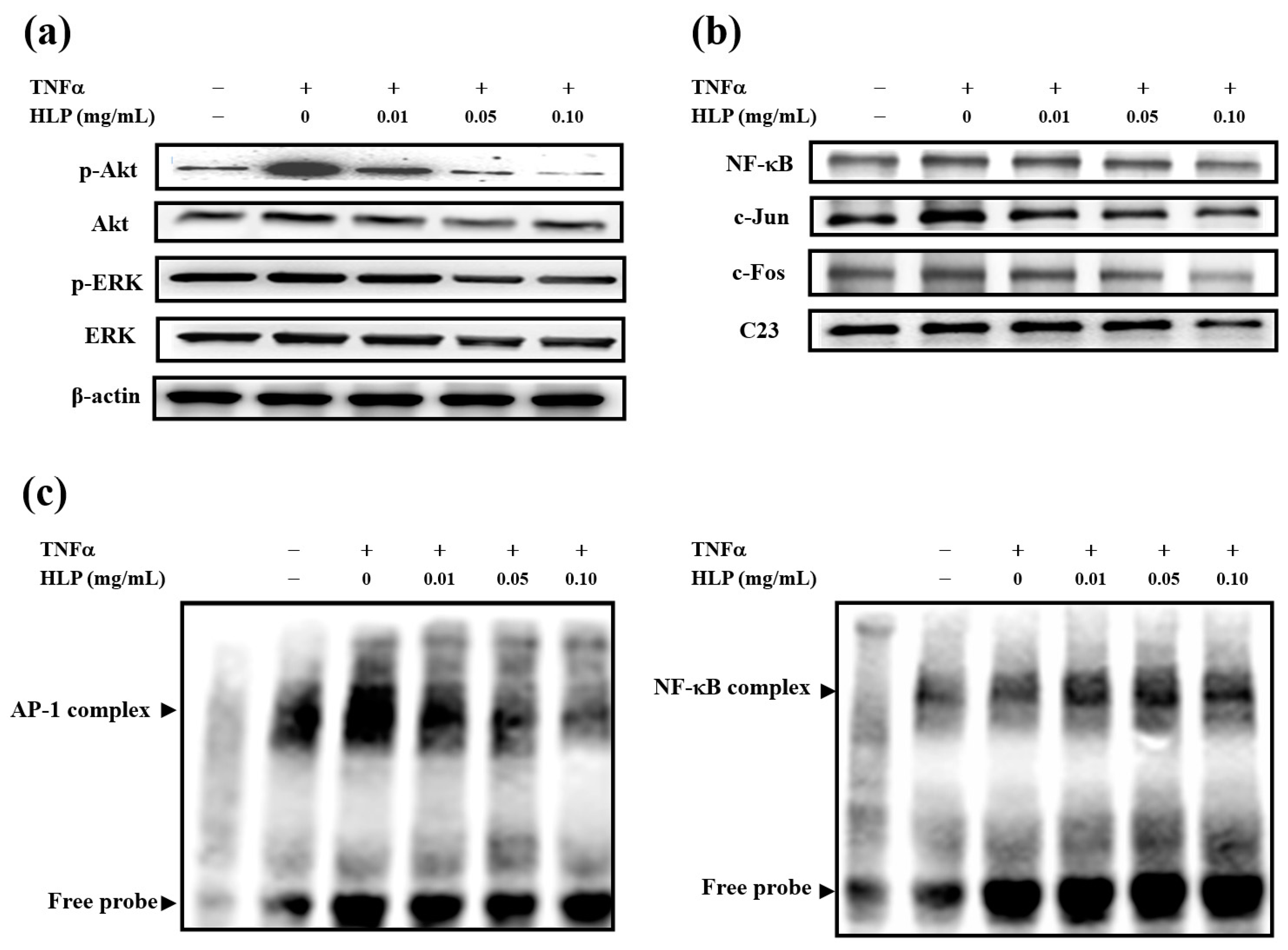 Antioxidants 08 00620 g003