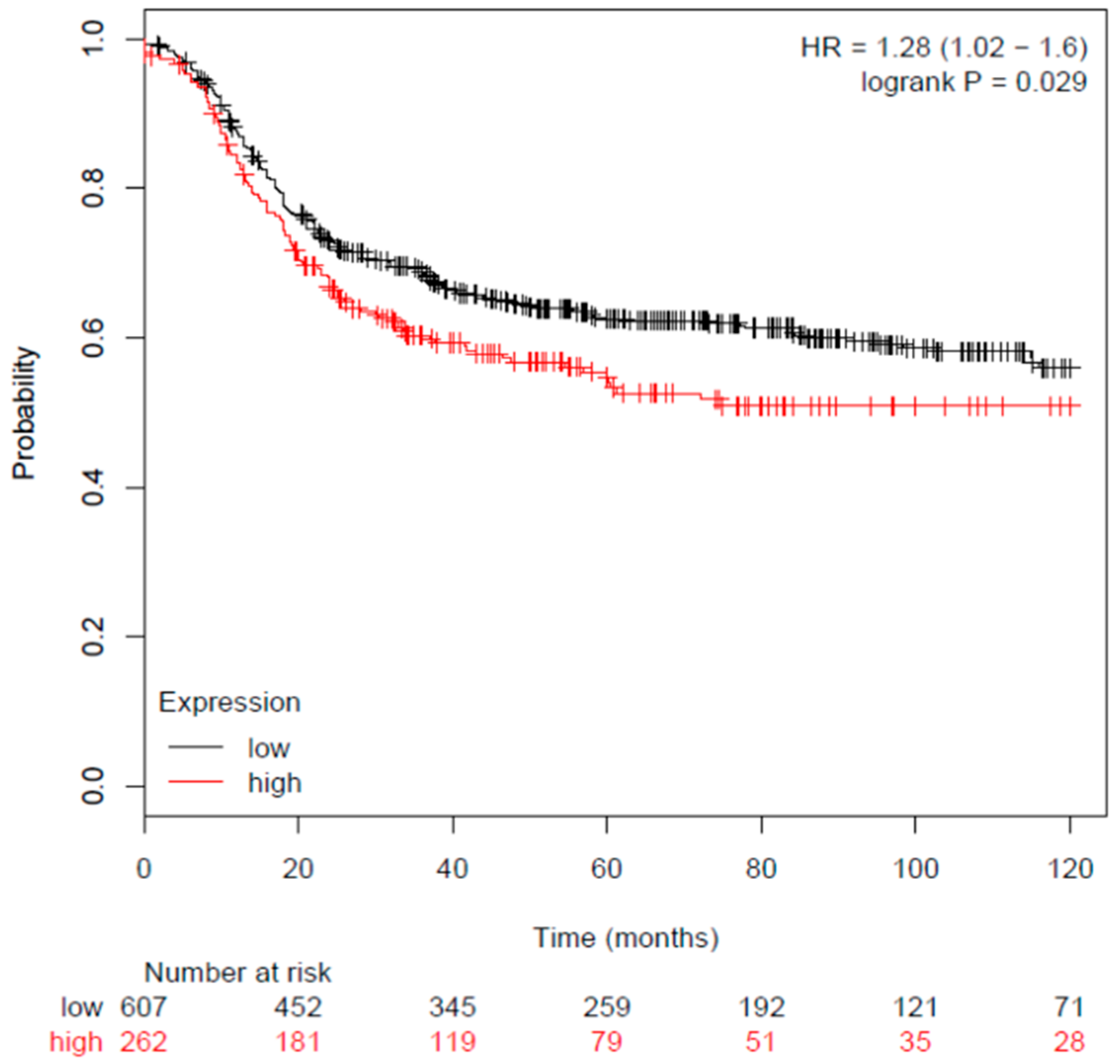 Antioxidants 08 00625 g002 Antioxidants 08 00625 g002