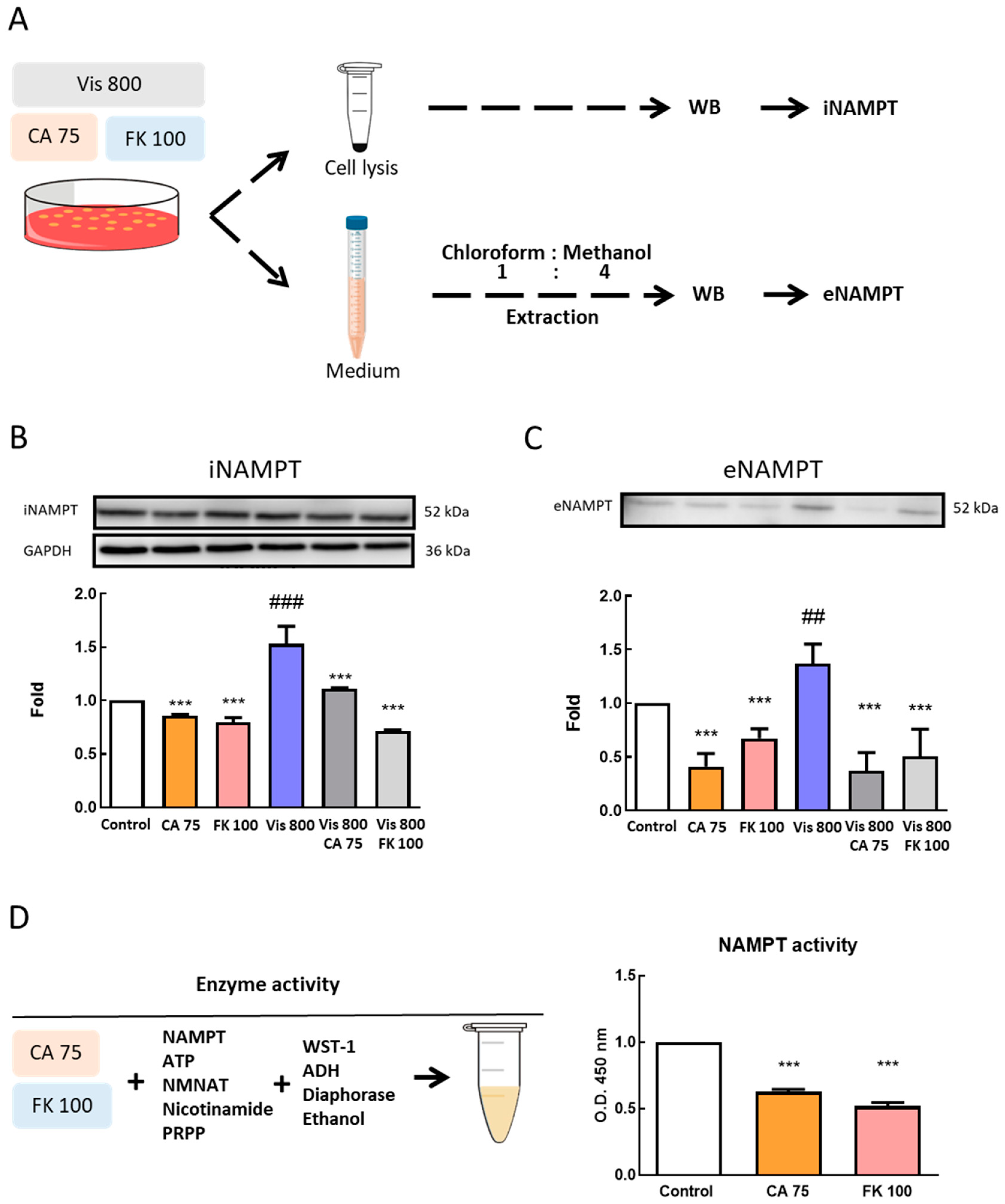 Antioxidants 08 00625 g005 Antioxidants 08 00625 g005
