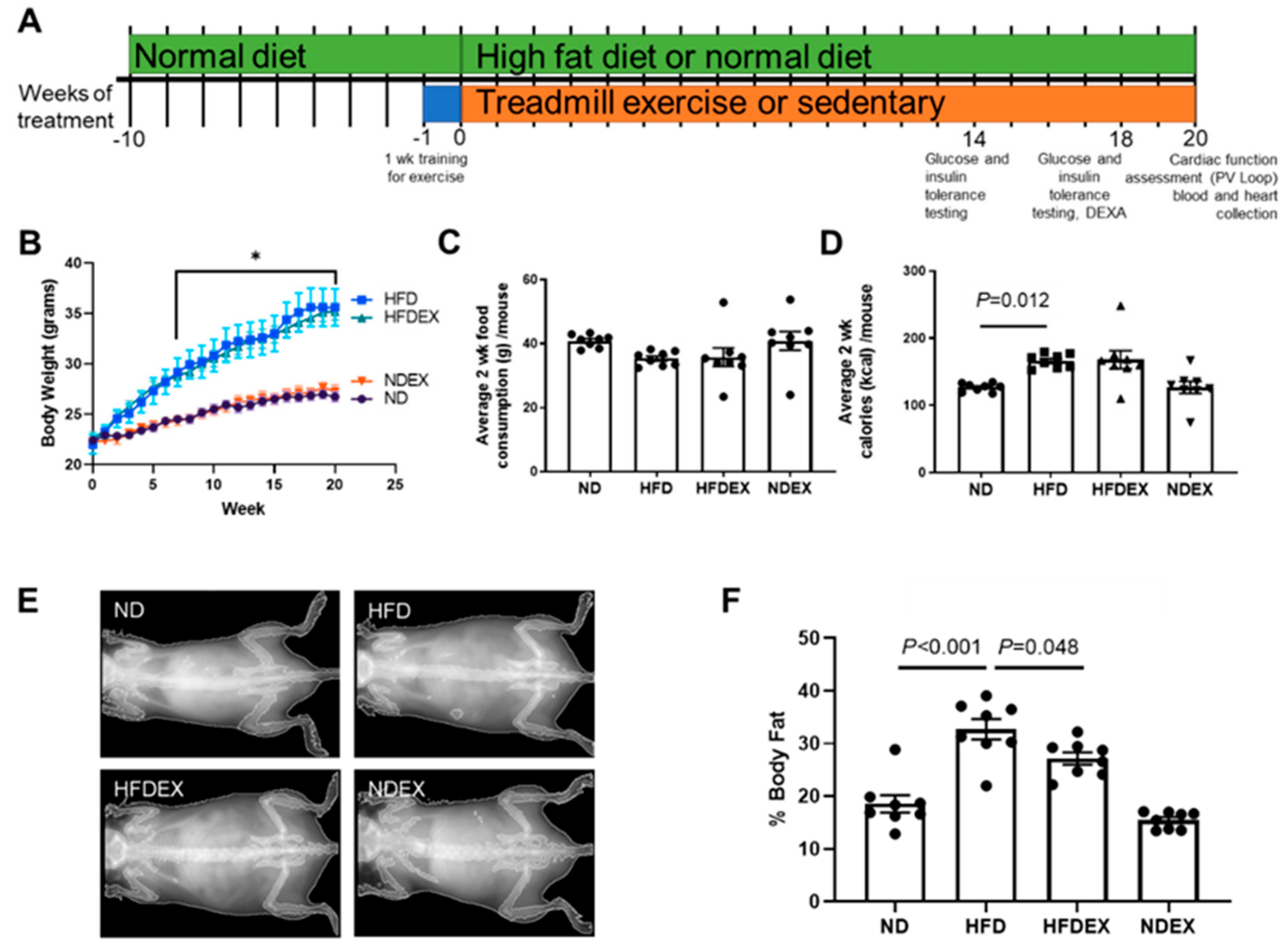 Antioxidants 08 00638 g001 Antioxidants 08 00638 g001