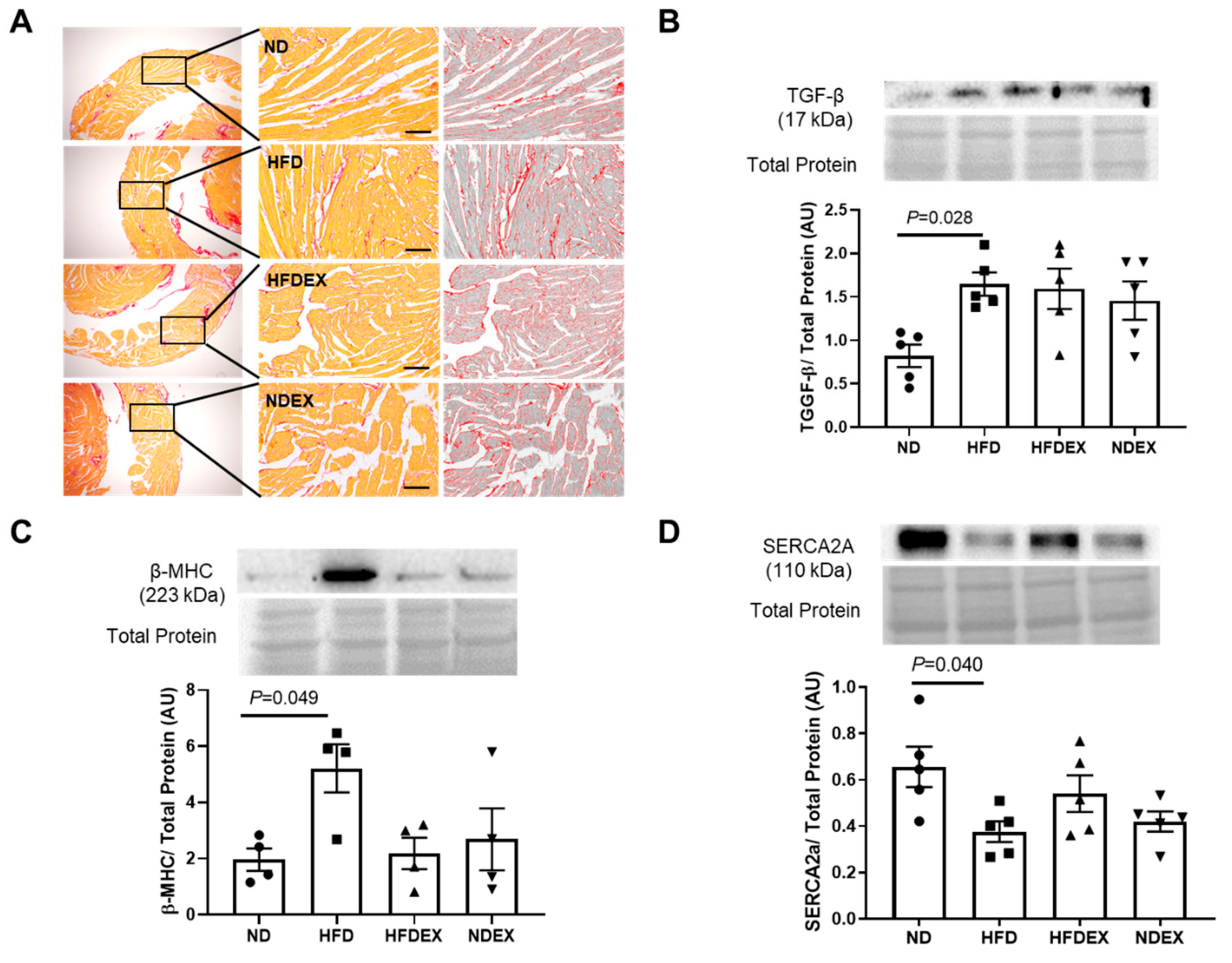 Antioxidants 08 00638 g004 Antioxidants 08 00638 g004