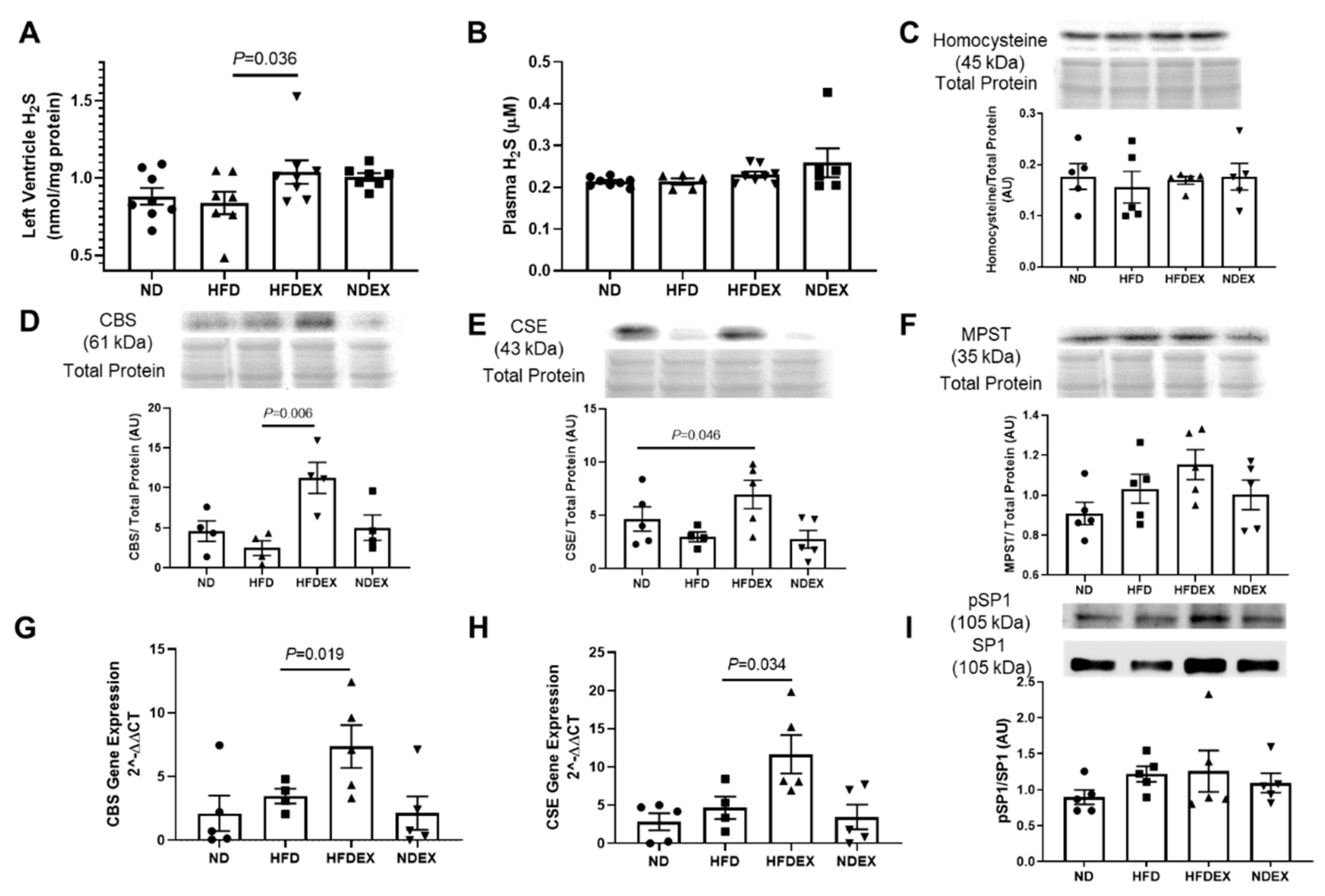 Antioxidants 08 00638 g007 Antioxidants 08 00638 g007