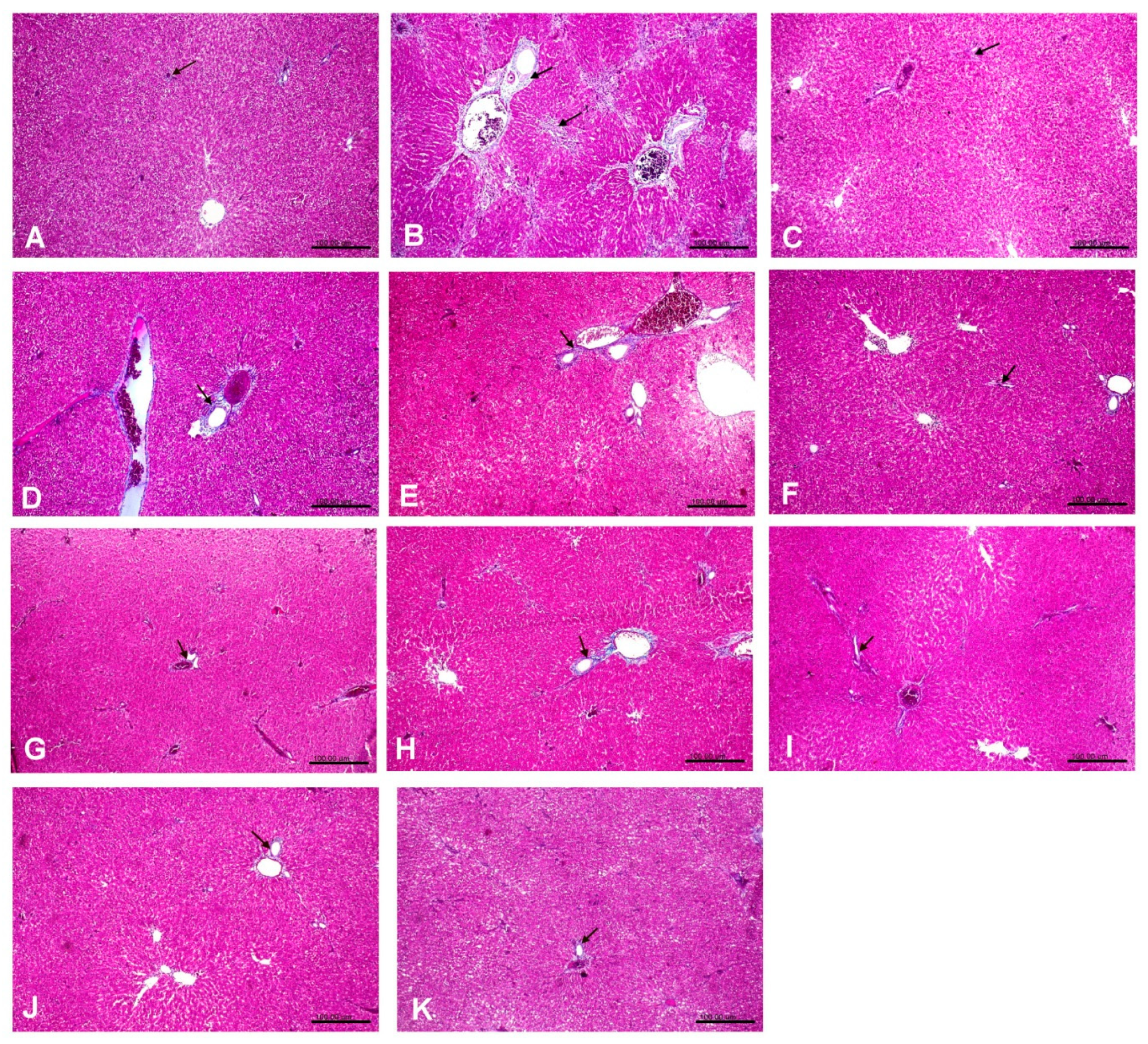 Antioxidants 08 00646 g003 Antioxidants 08 00646 g003