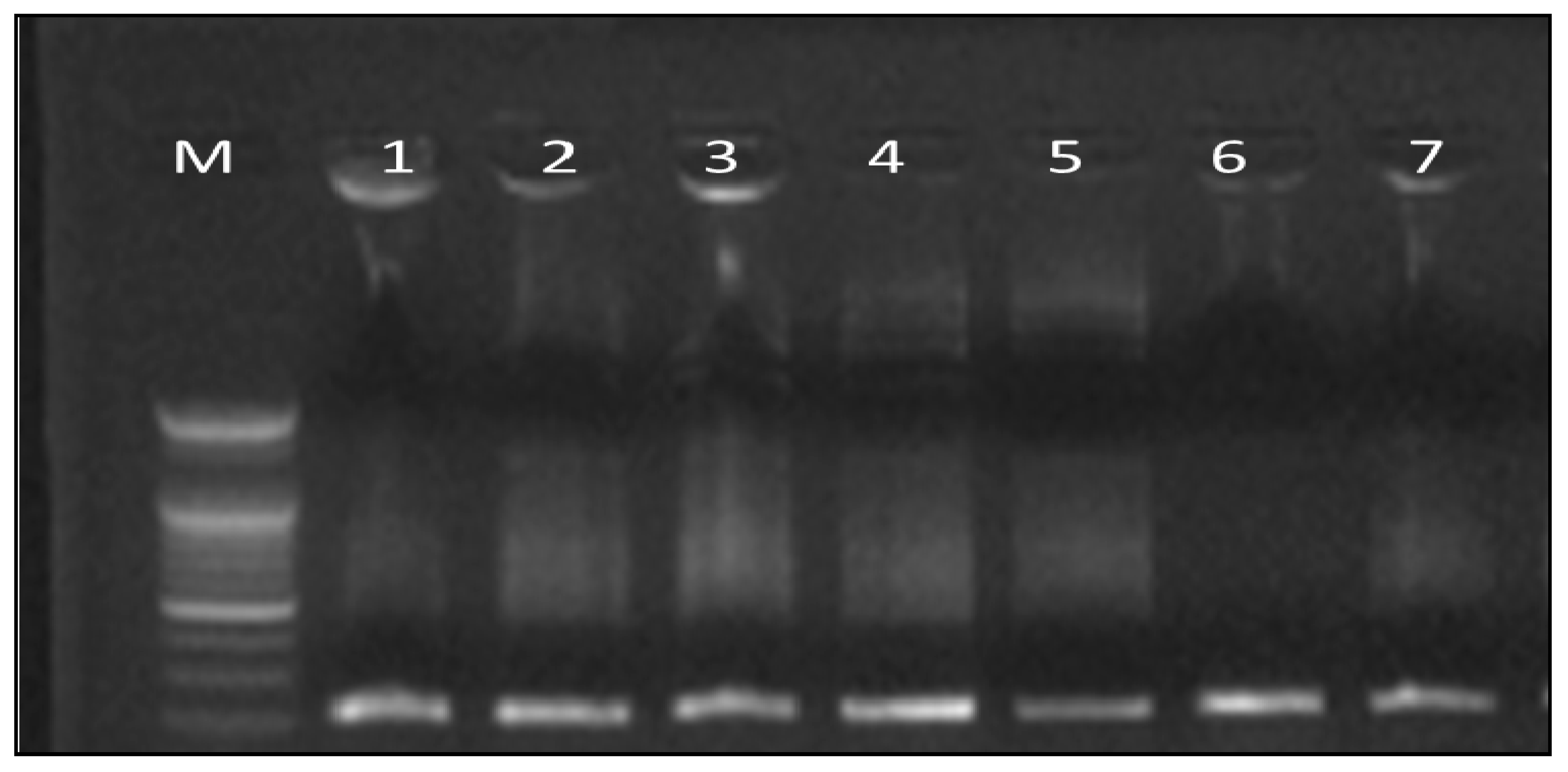 Antioxidants 08 00646 g005 Antioxidants 08 00646 g005