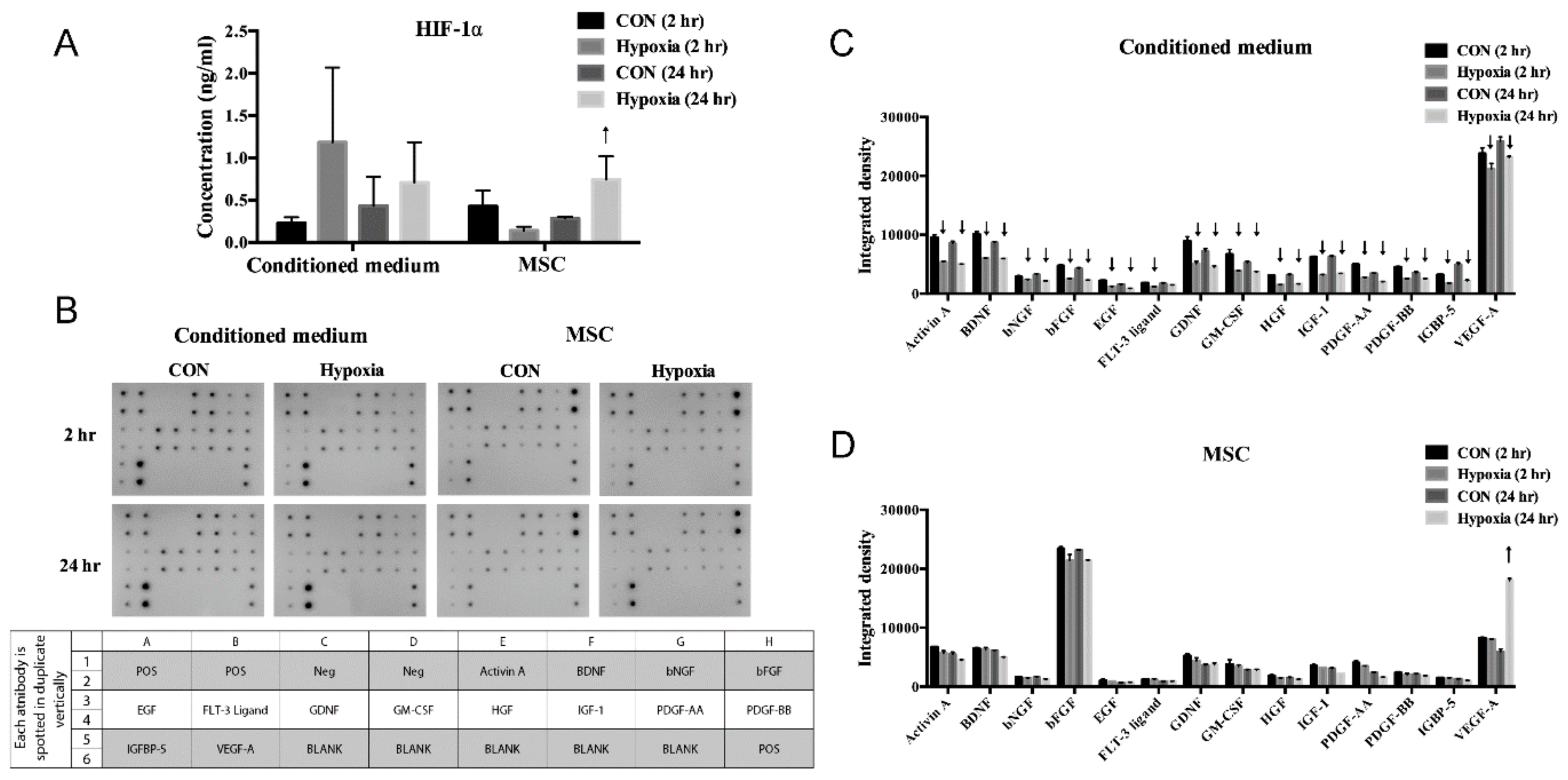 Antioxidants 09 00002 g003