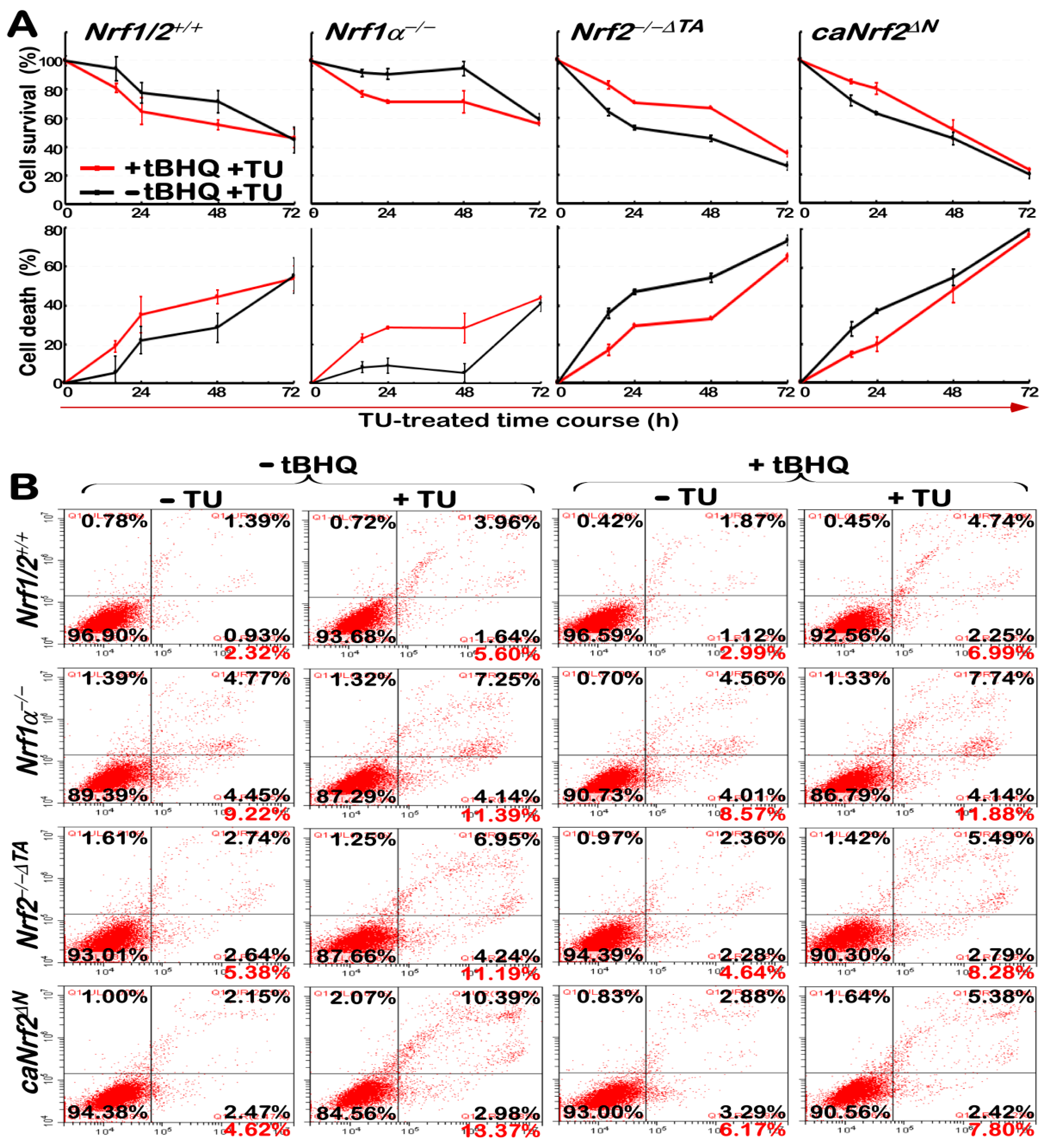 Antioxidants 09 00004 g007