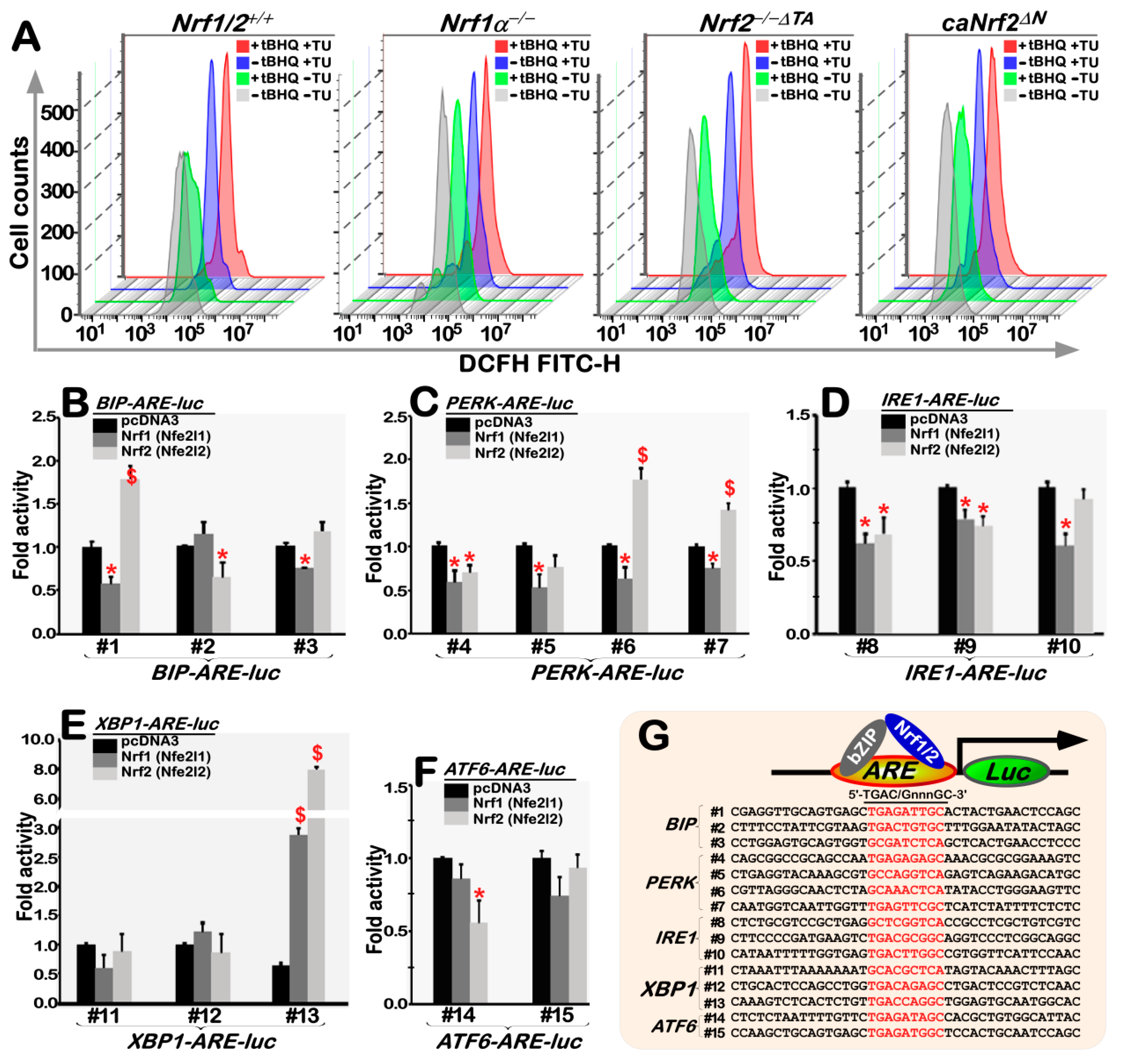 Antioxidants 09 00004 g008