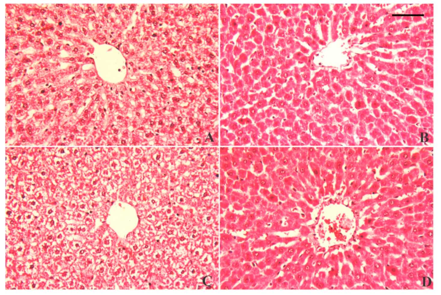 Antioxidants 09 00010 g009