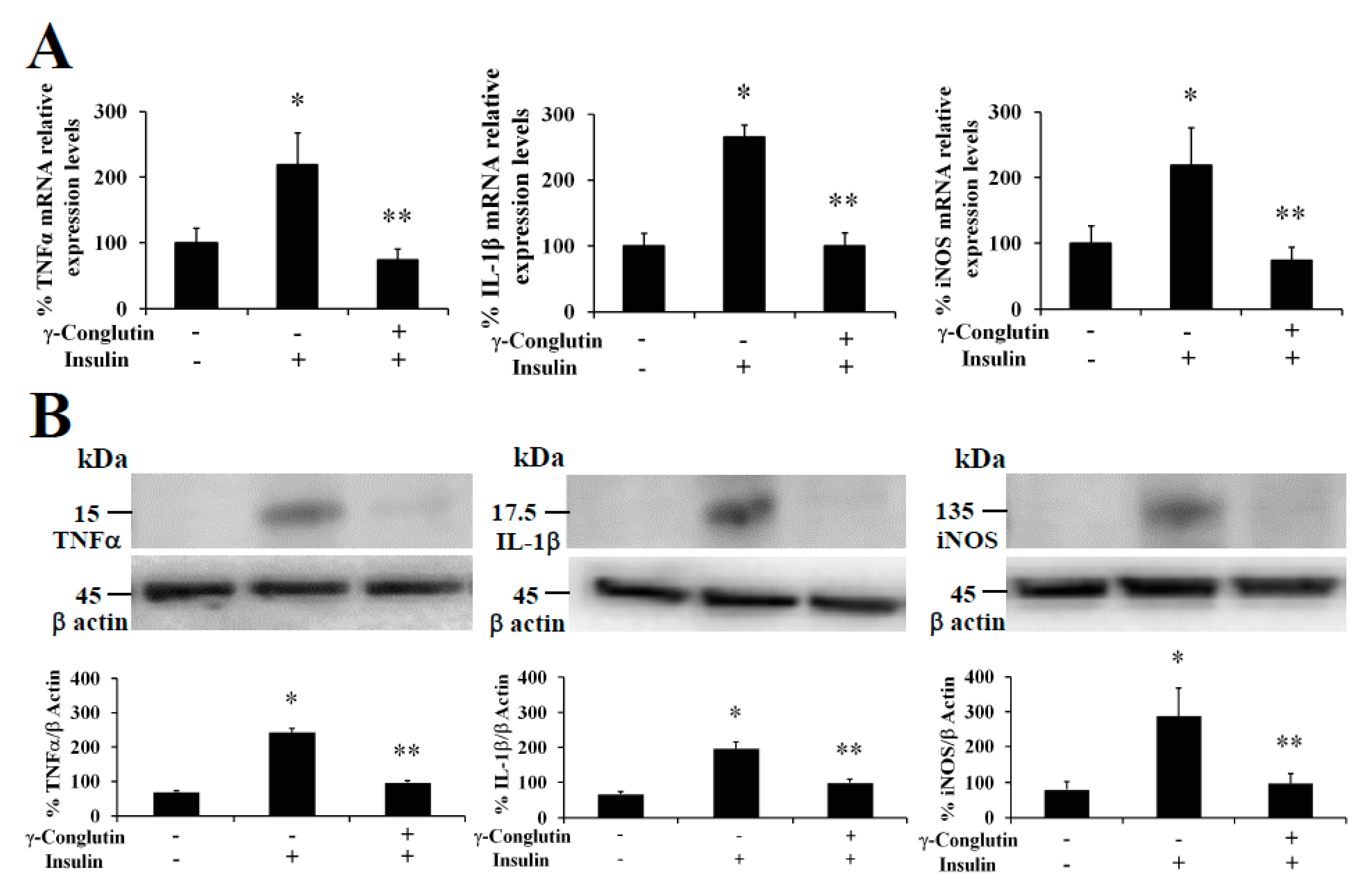 Antioxidants 09 00012 g003