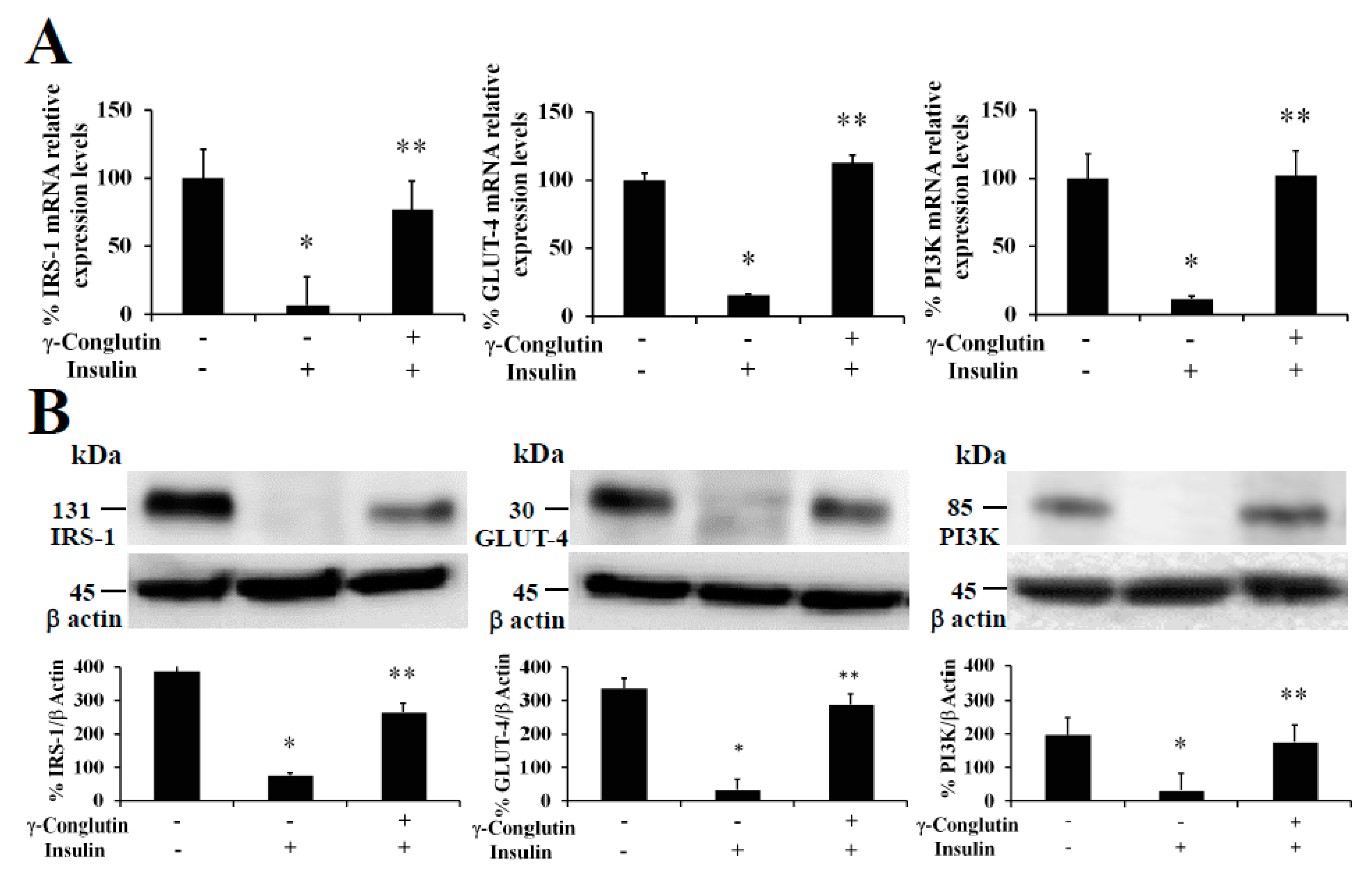 Antioxidants 09 00012 g005