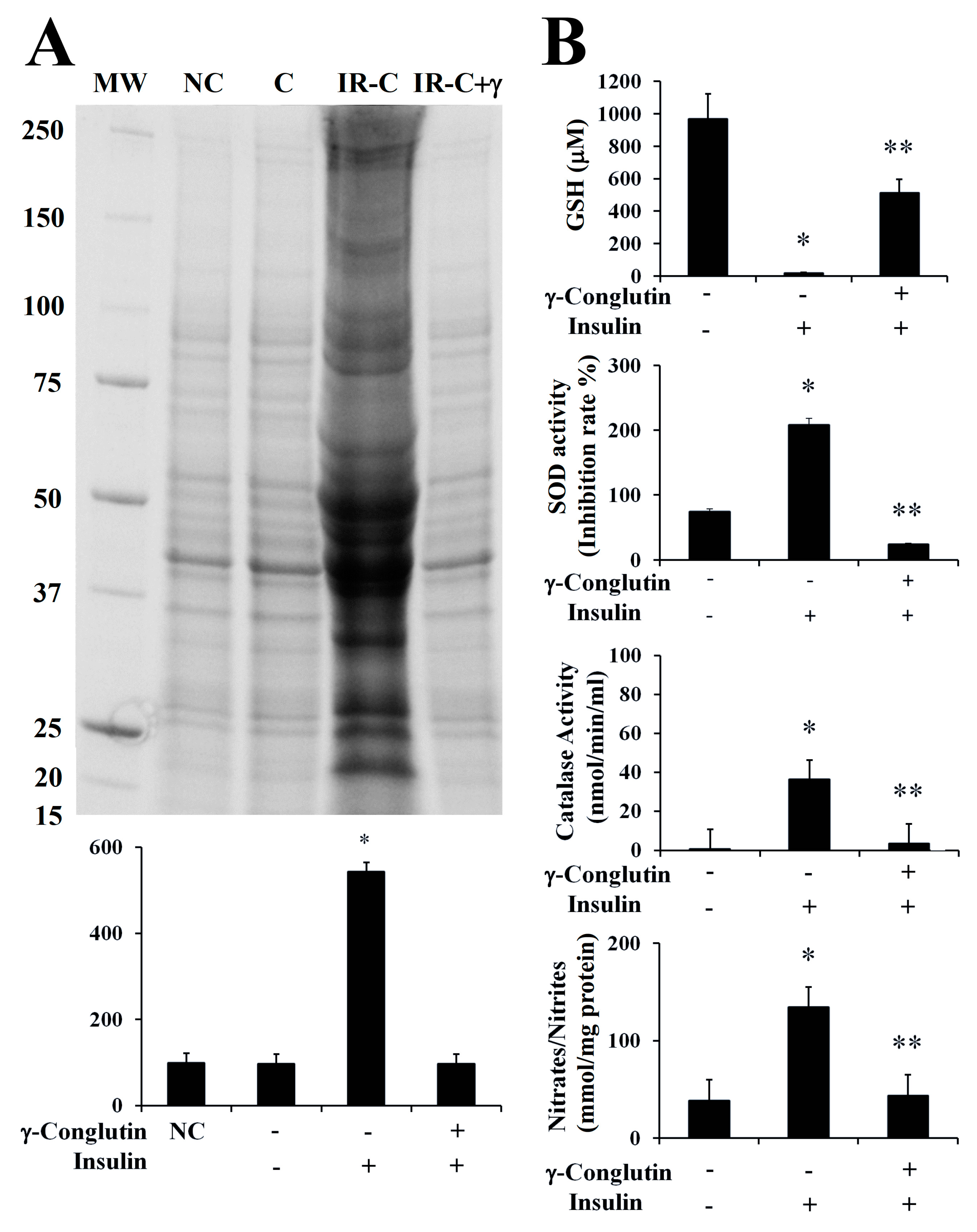 Antioxidants 09 00012 g006