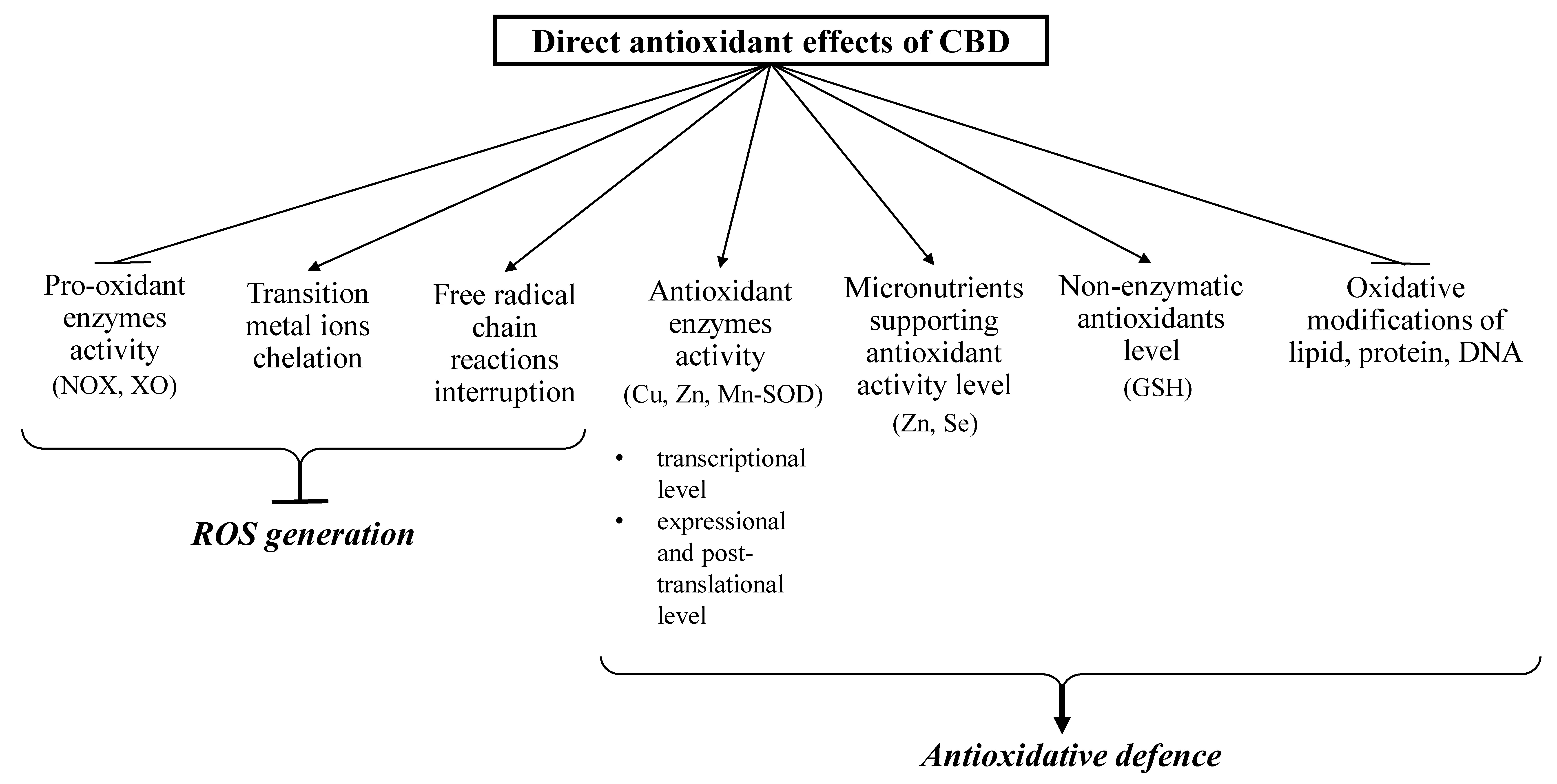 Antioxidants 09 00021 g002