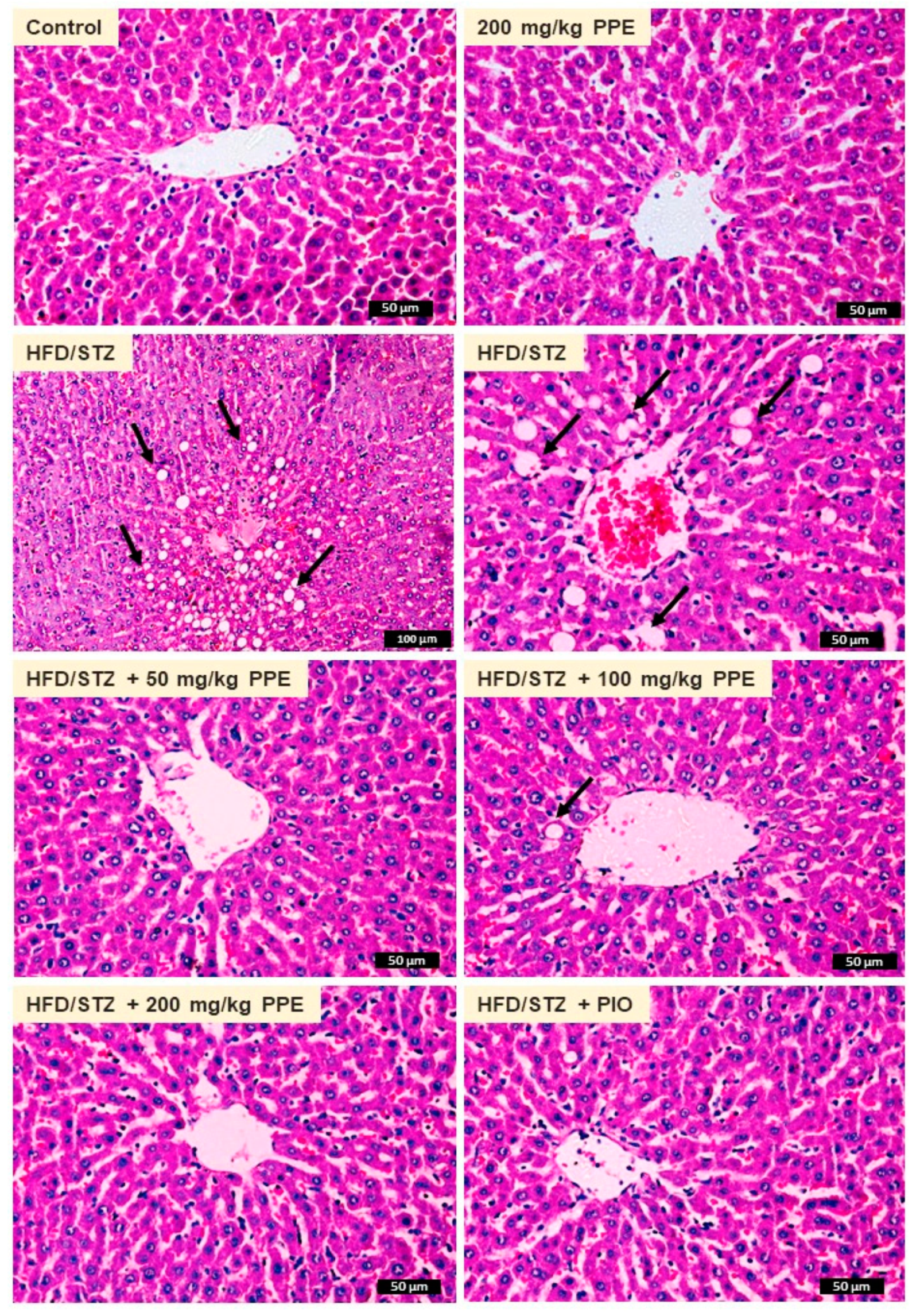 Antioxidants 09 00022 g006