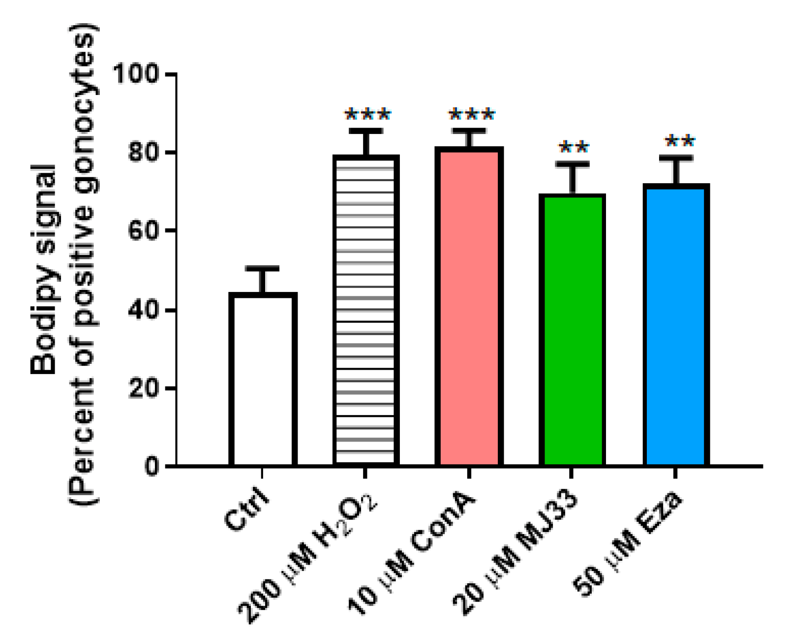 Antioxidants 09 00032 g005