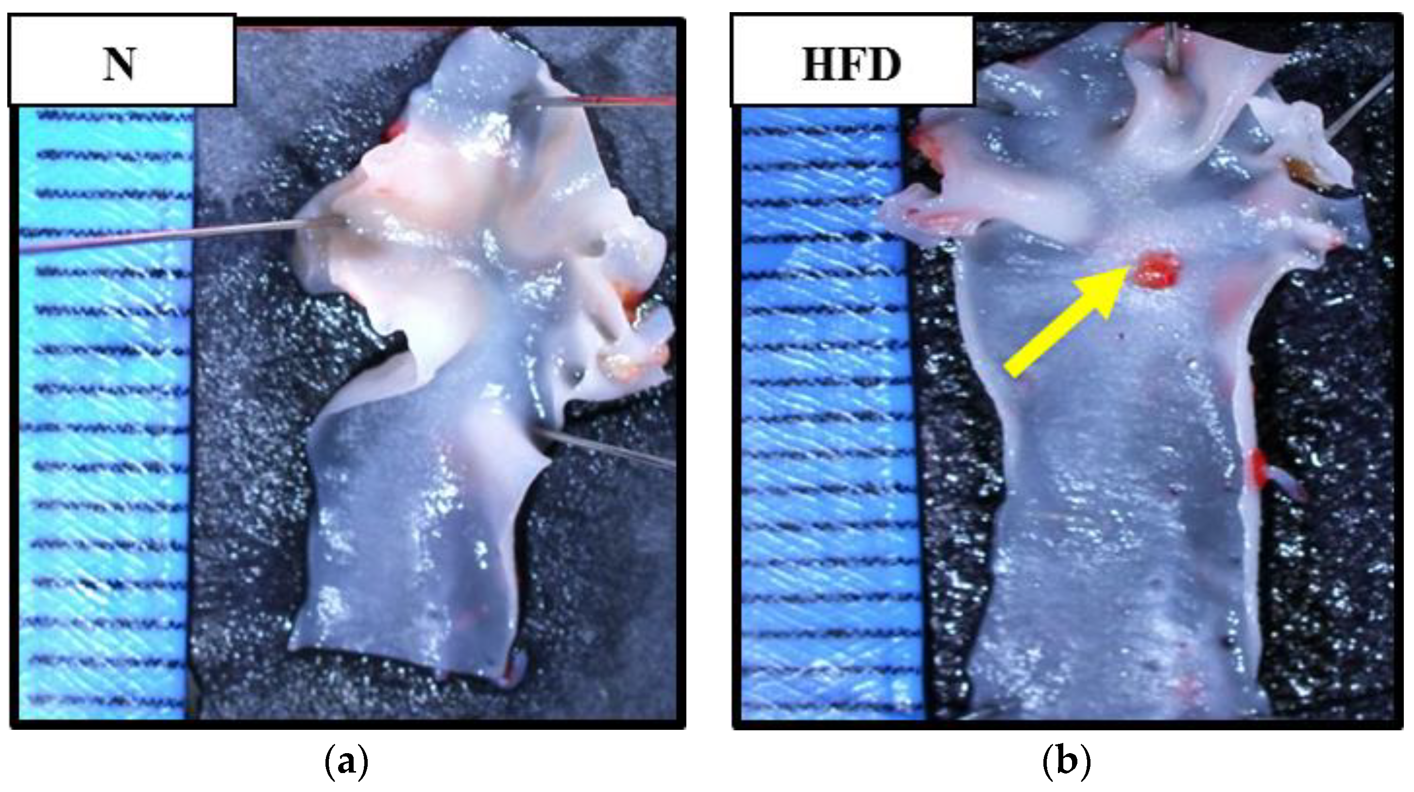 Antioxidants 09 00033 g001a Antioxidants 09 00033 g001a