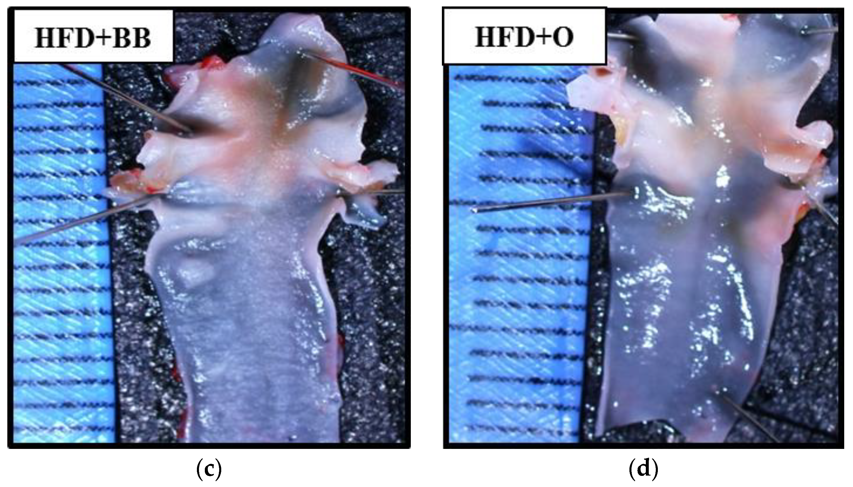 Antioxidants 09 00033 g001b Antioxidants 09 00033 g001b
