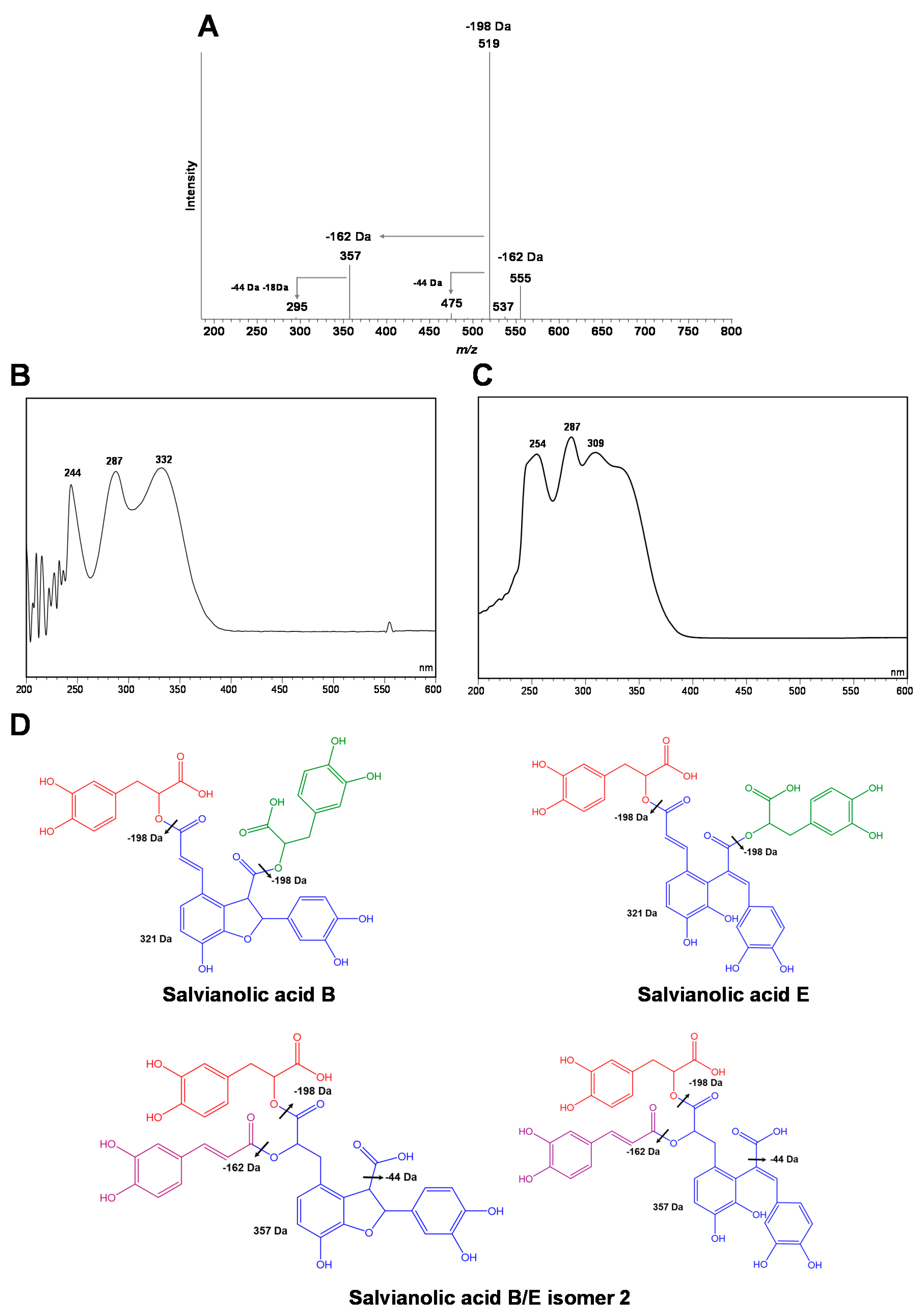 Antioxidants 09 00034 g002 Antioxidants 09 00034 g002