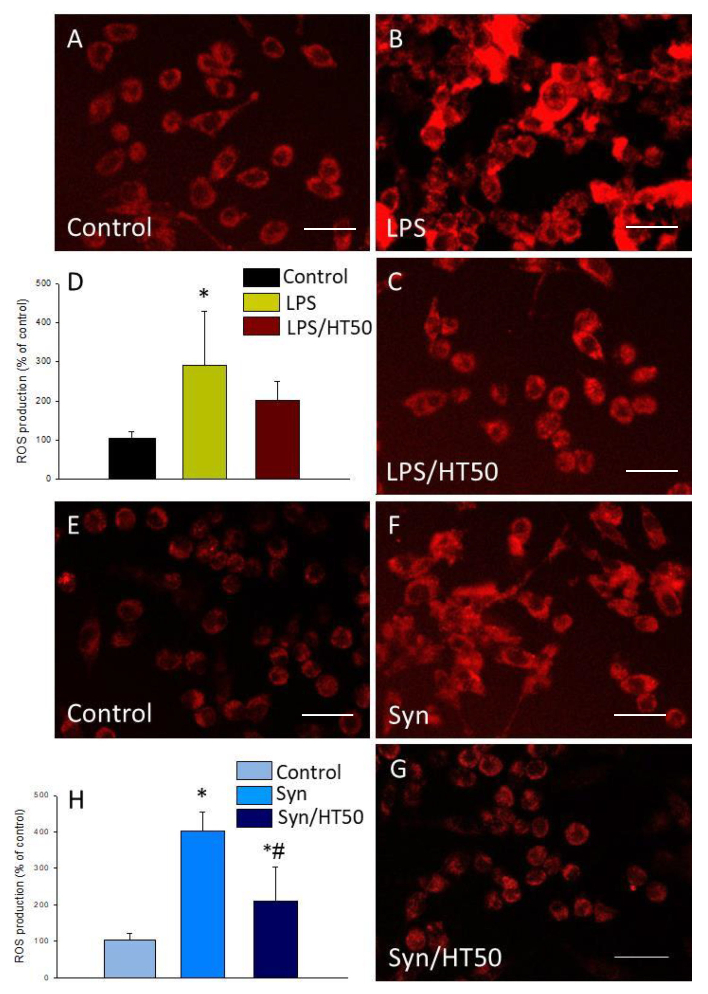 Antioxidants 09 00036 g005 Antioxidants 09 00036 g005