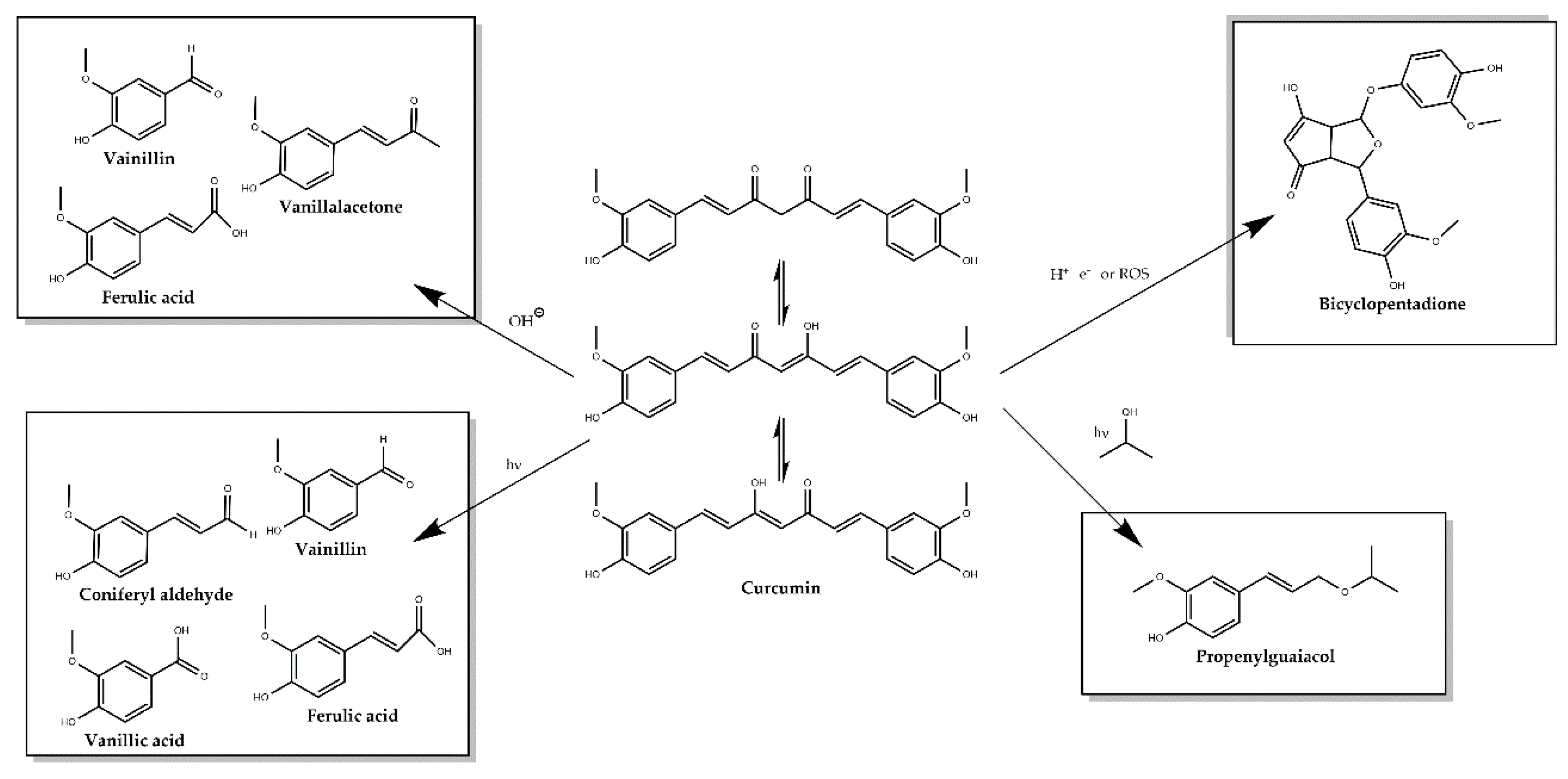 Antioxidants 09 00048 g002