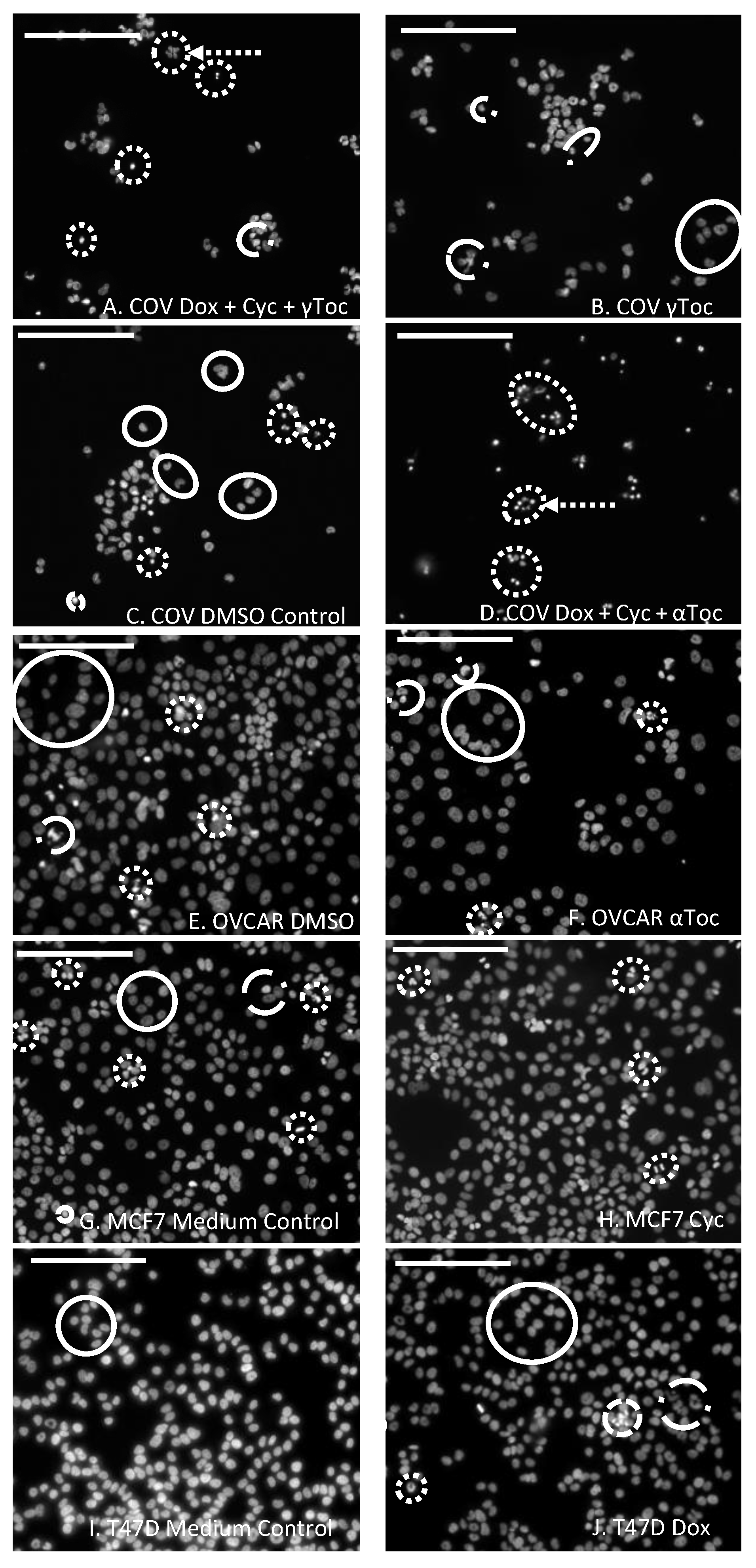 Antioxidants 09 00051 g001