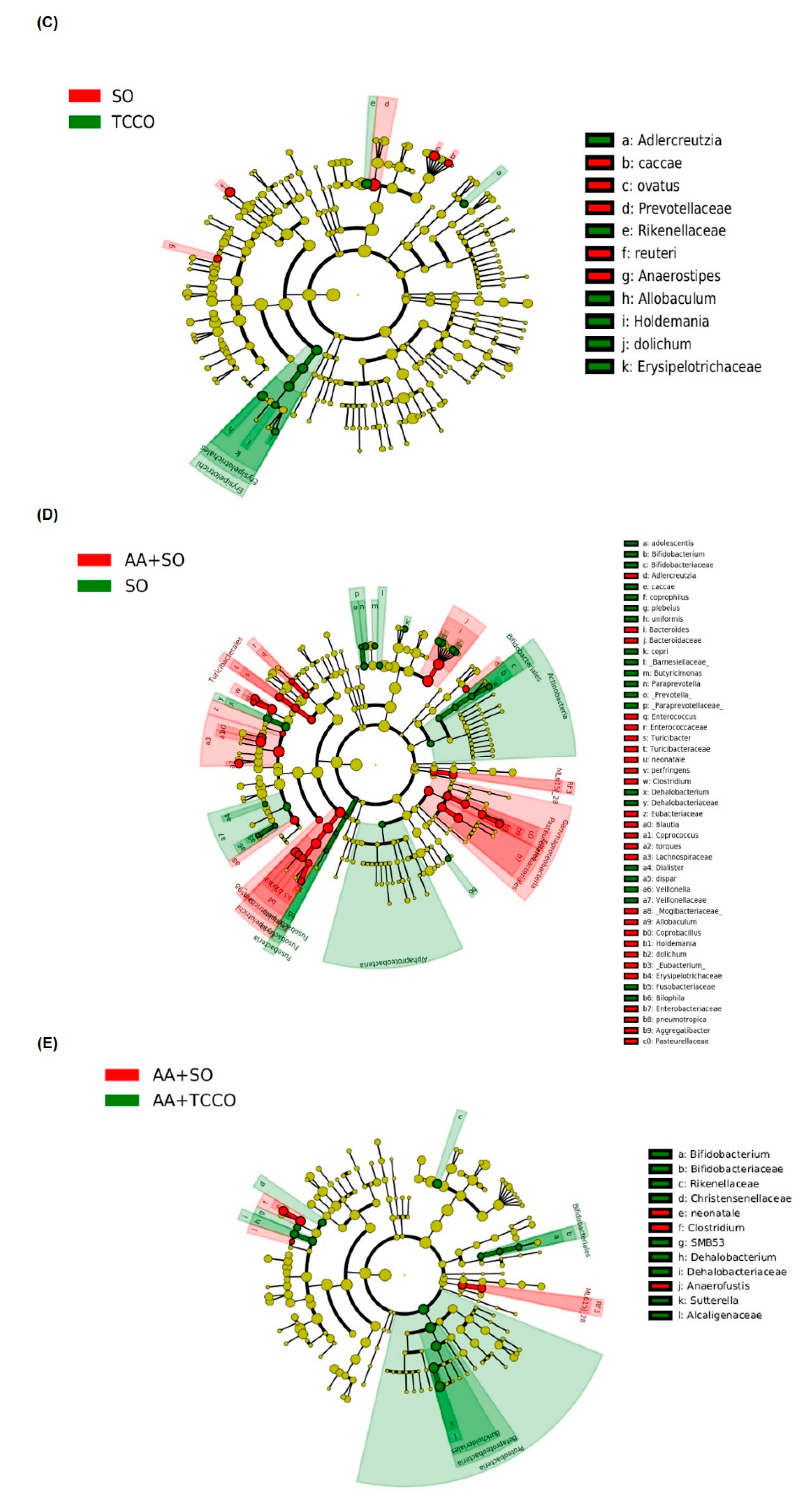 Antioxidants 09 00058 g006b Antioxidants 09 00058 g006b