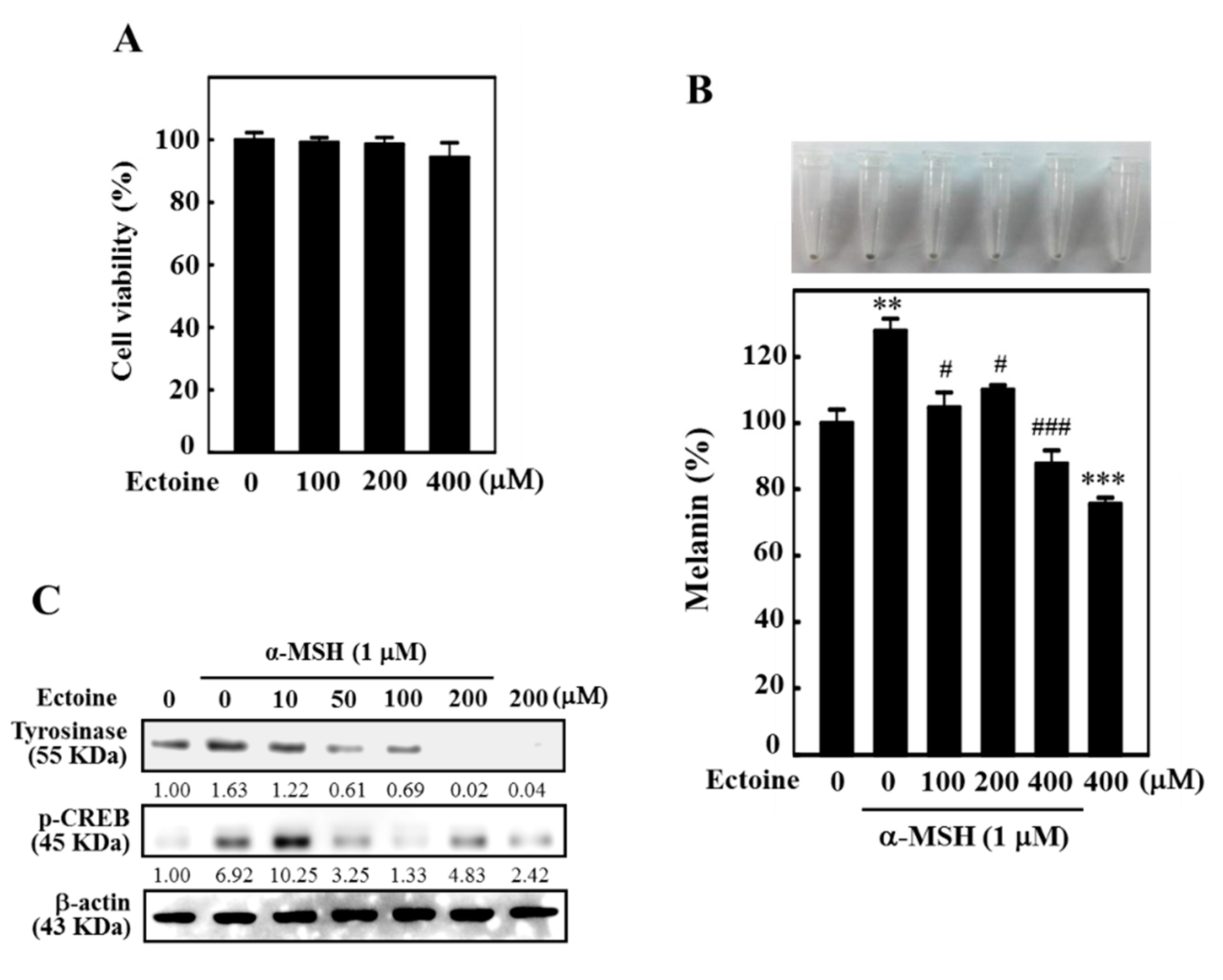 Antioxidants 09 00063 g003