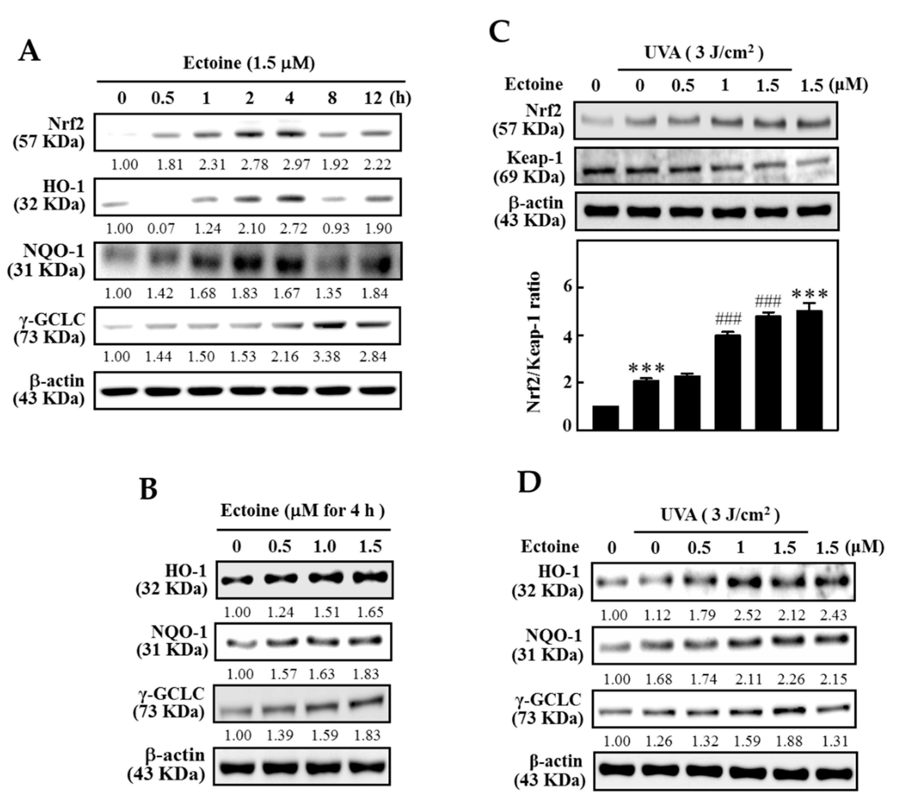 Antioxidants 09 00063 g005