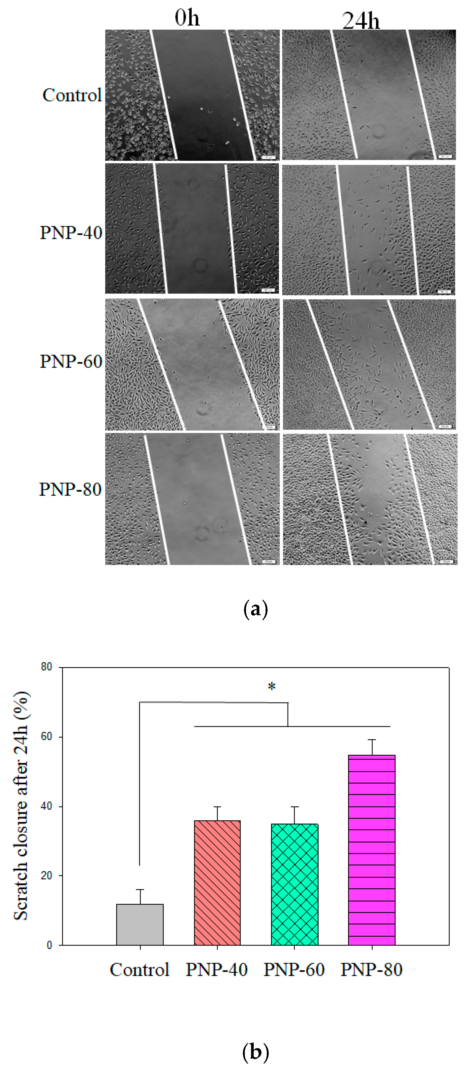 Antioxidants 09 00065 g006 Antioxidants 09 00065 g006