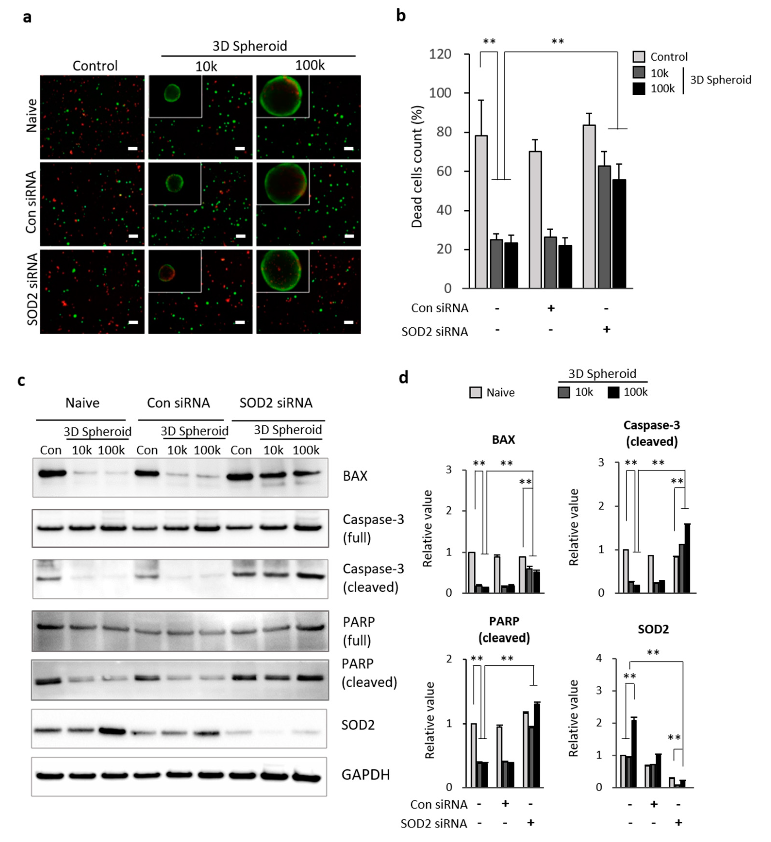 Antioxidants 09 00066 g003 Antioxidants 09 00066 g003