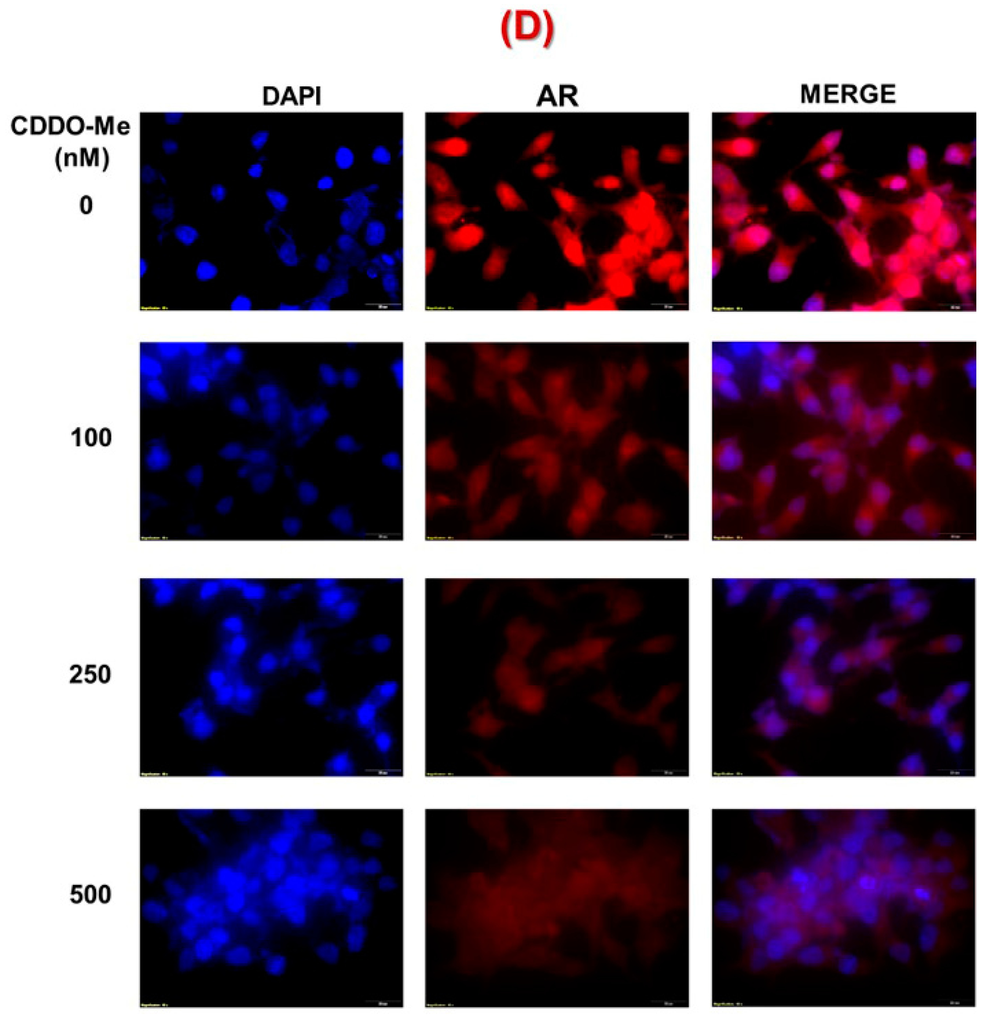 Antioxidants 09 00068 g001b