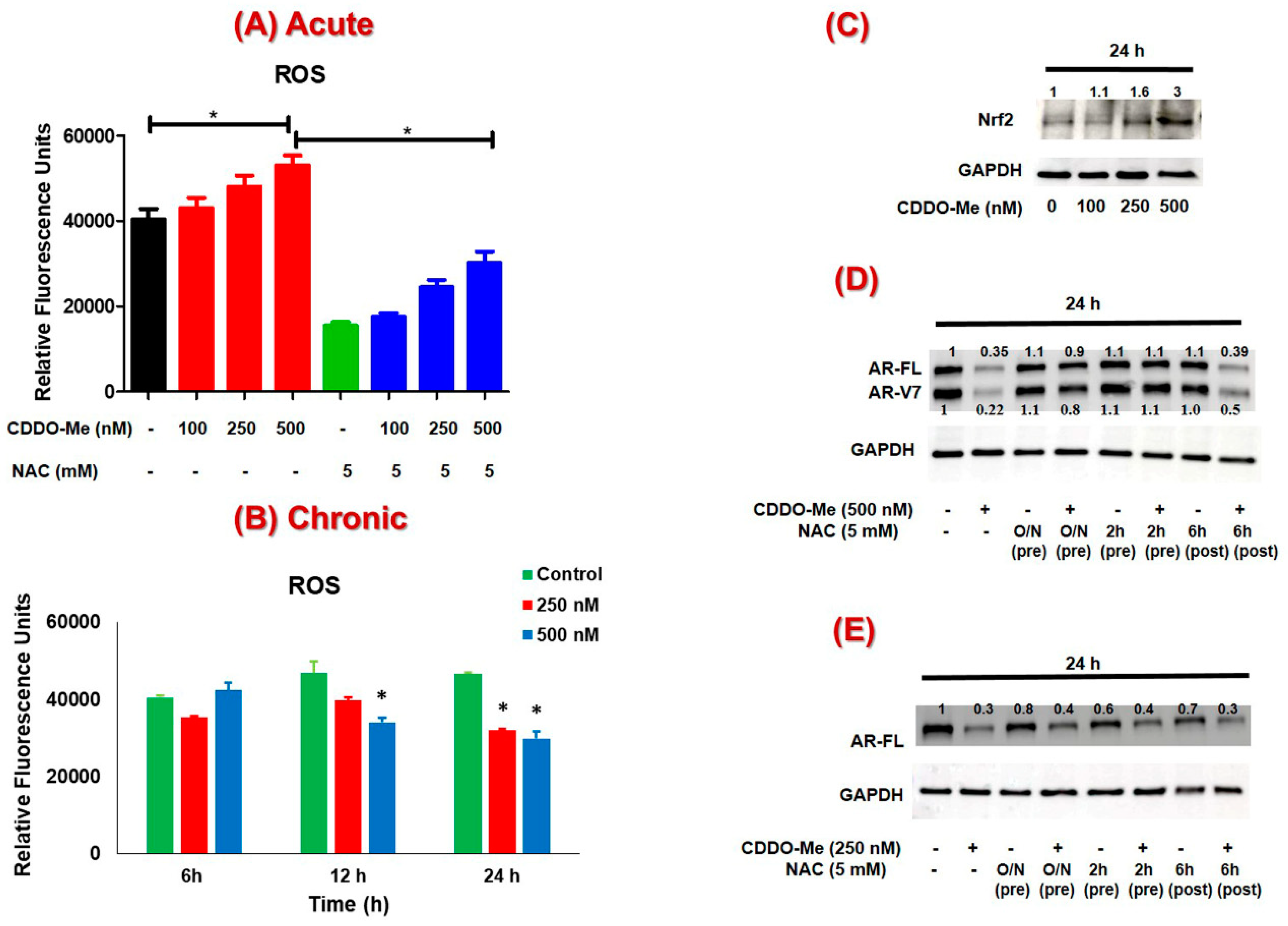 Antioxidants 09 00068 g003