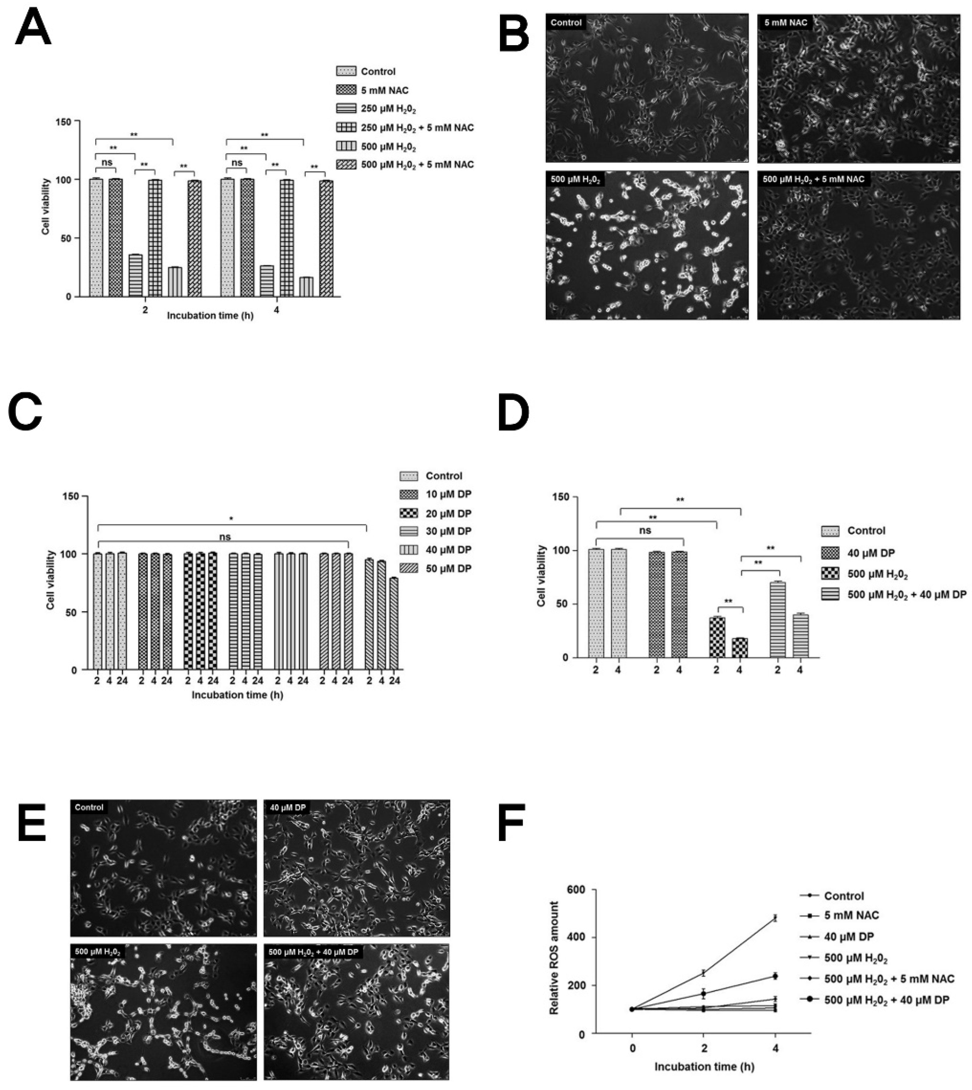 Antioxidants 09 00083 g001