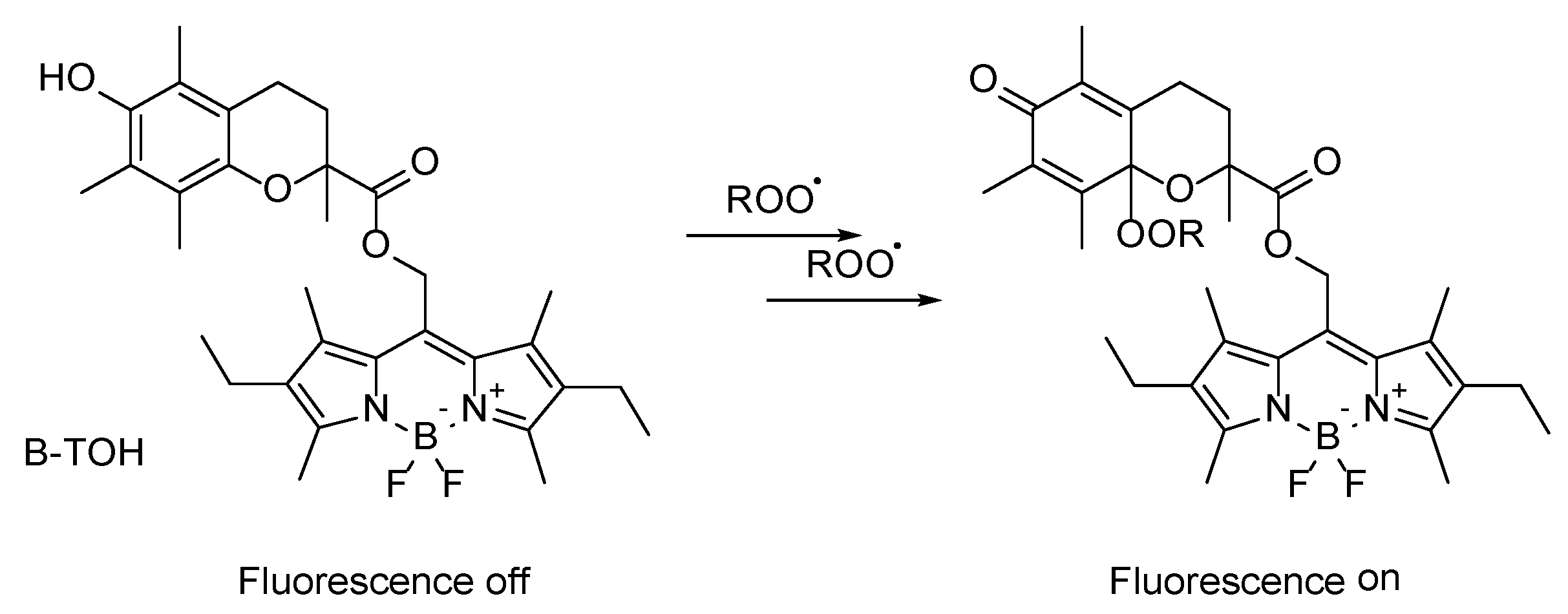 Antioxidants 09 00088 g003 Antioxidants 09 00088 g003