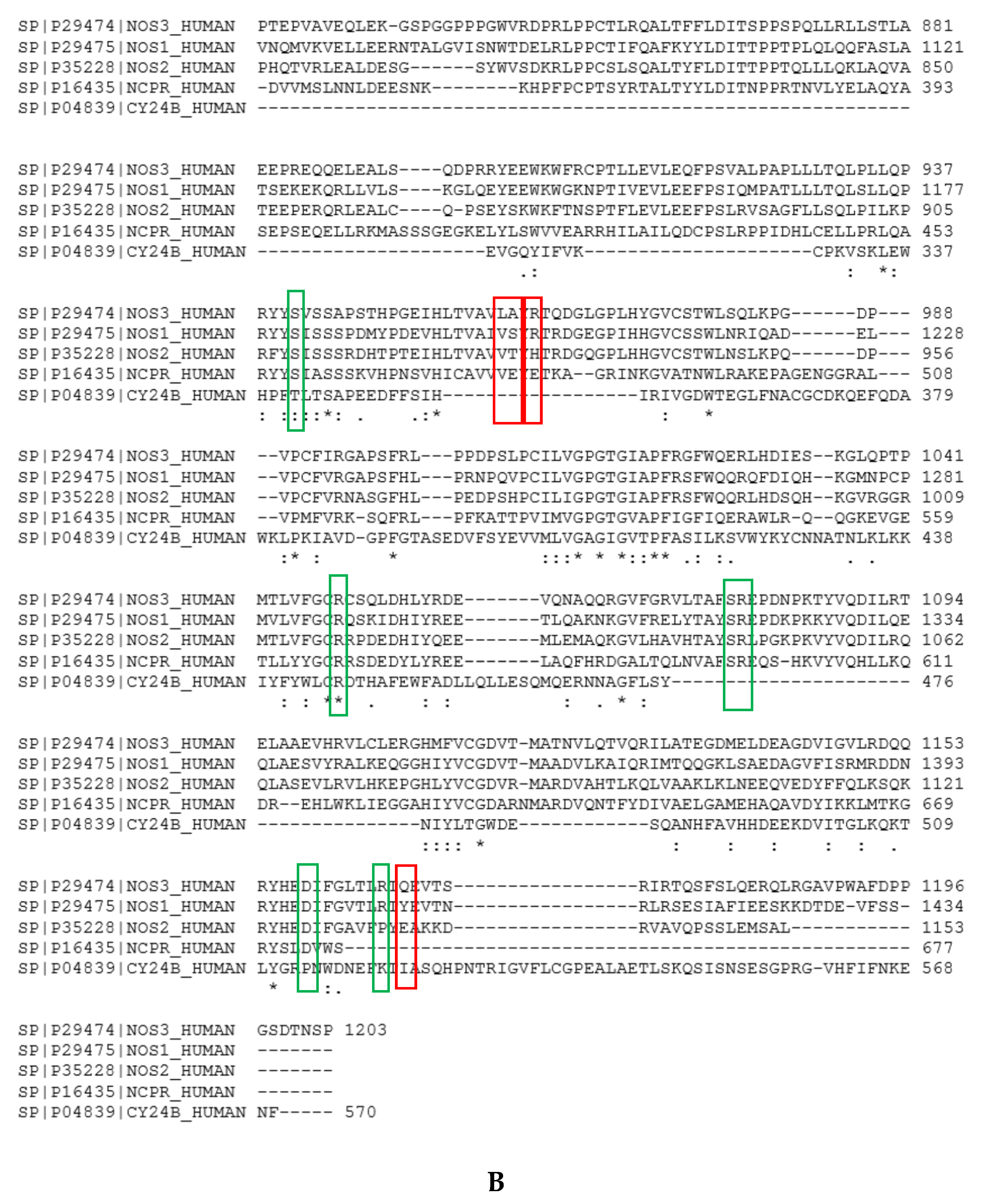 Antioxidants Free Full Text Design Of Light Sensitive Triggers For Endothelial No Synthase Activation Html