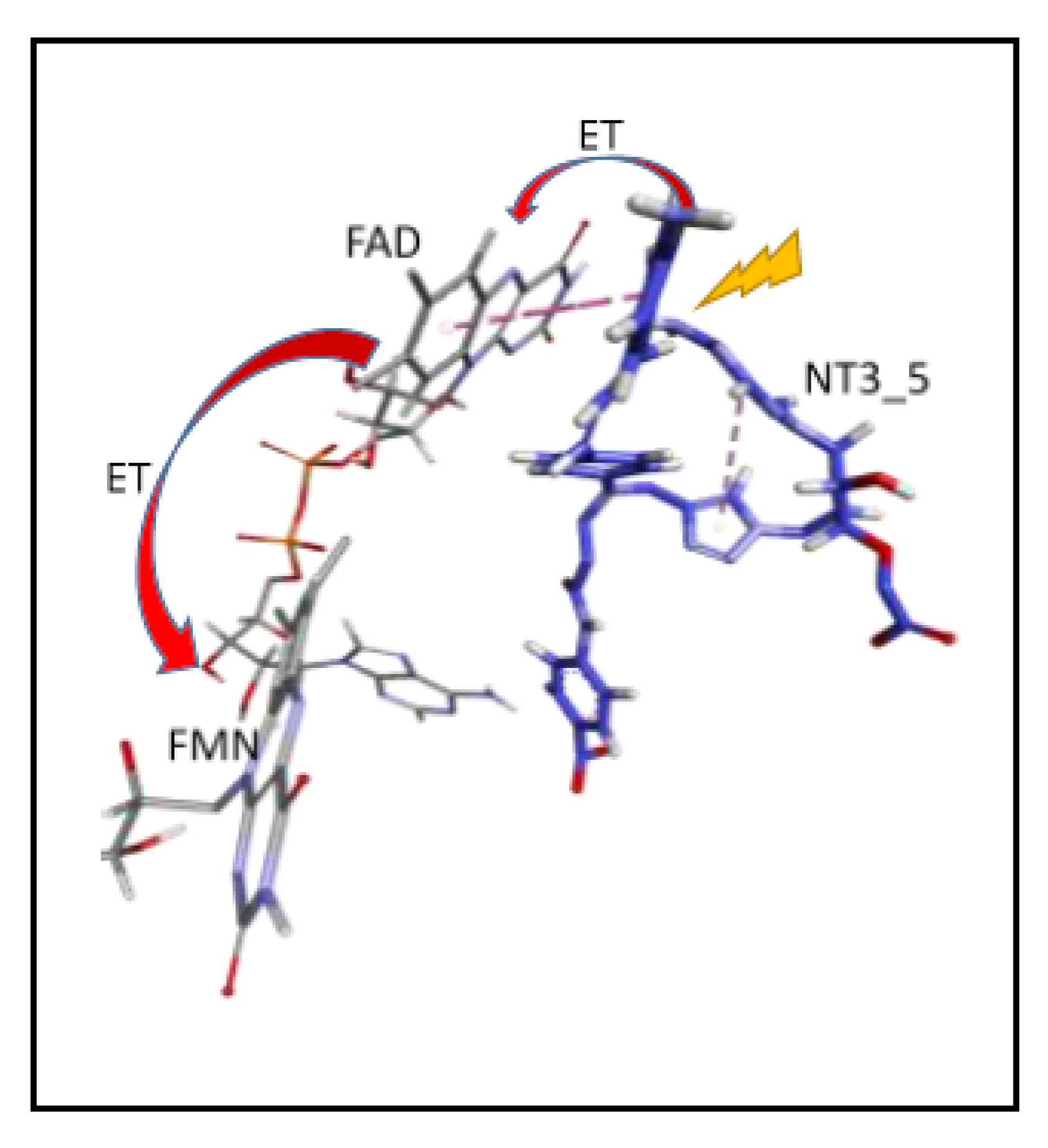 Antioxidants 09 00089 sch001 Antioxidants 09 00089 sch001