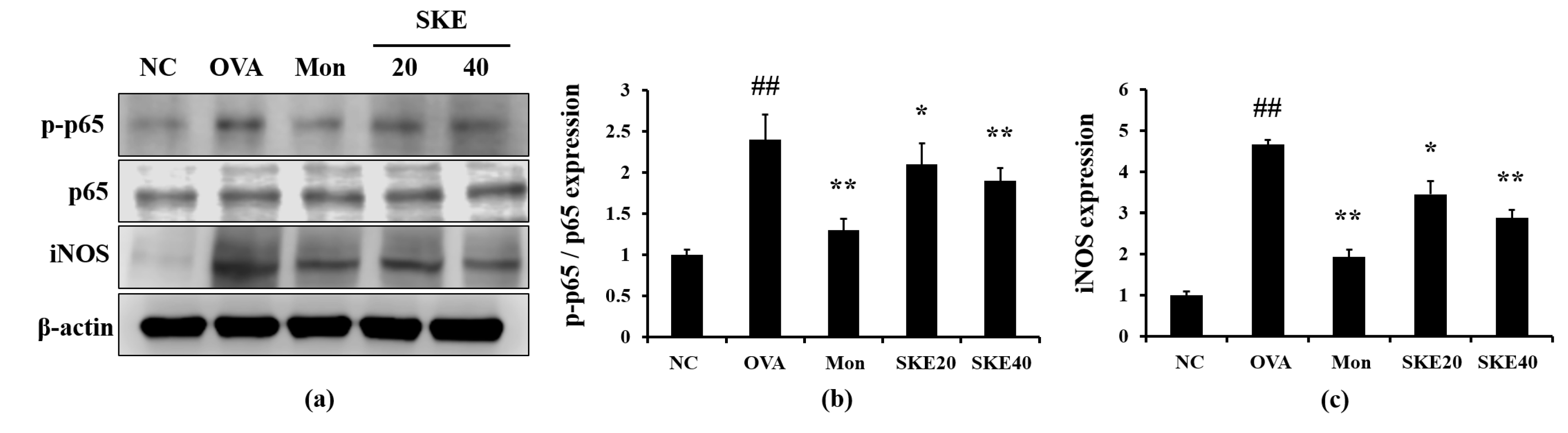 Antioxidants 09 00099 g006